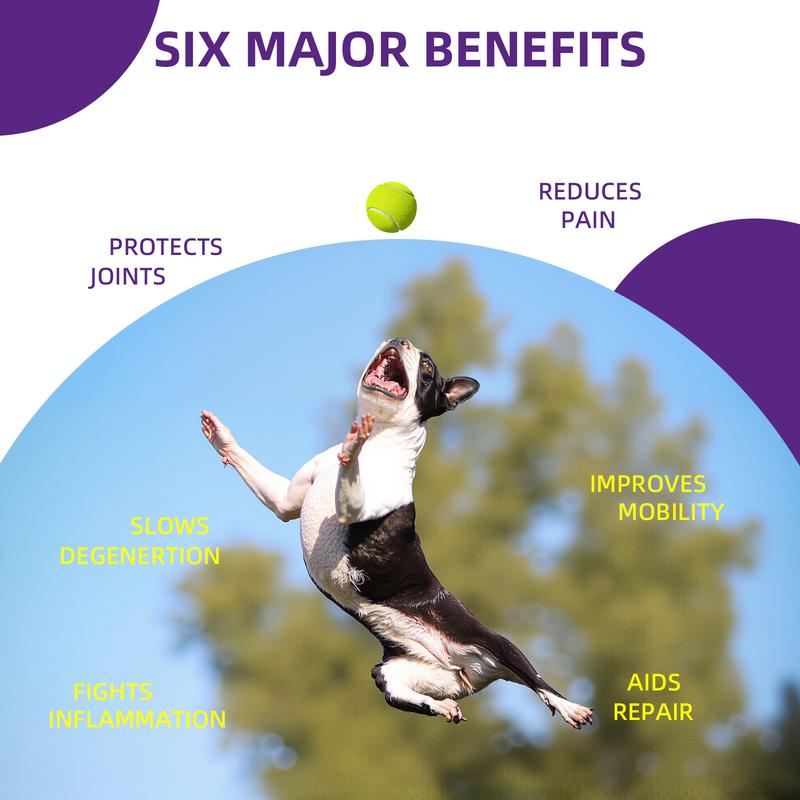 Glucosamine Joint Support Chews for Dogs