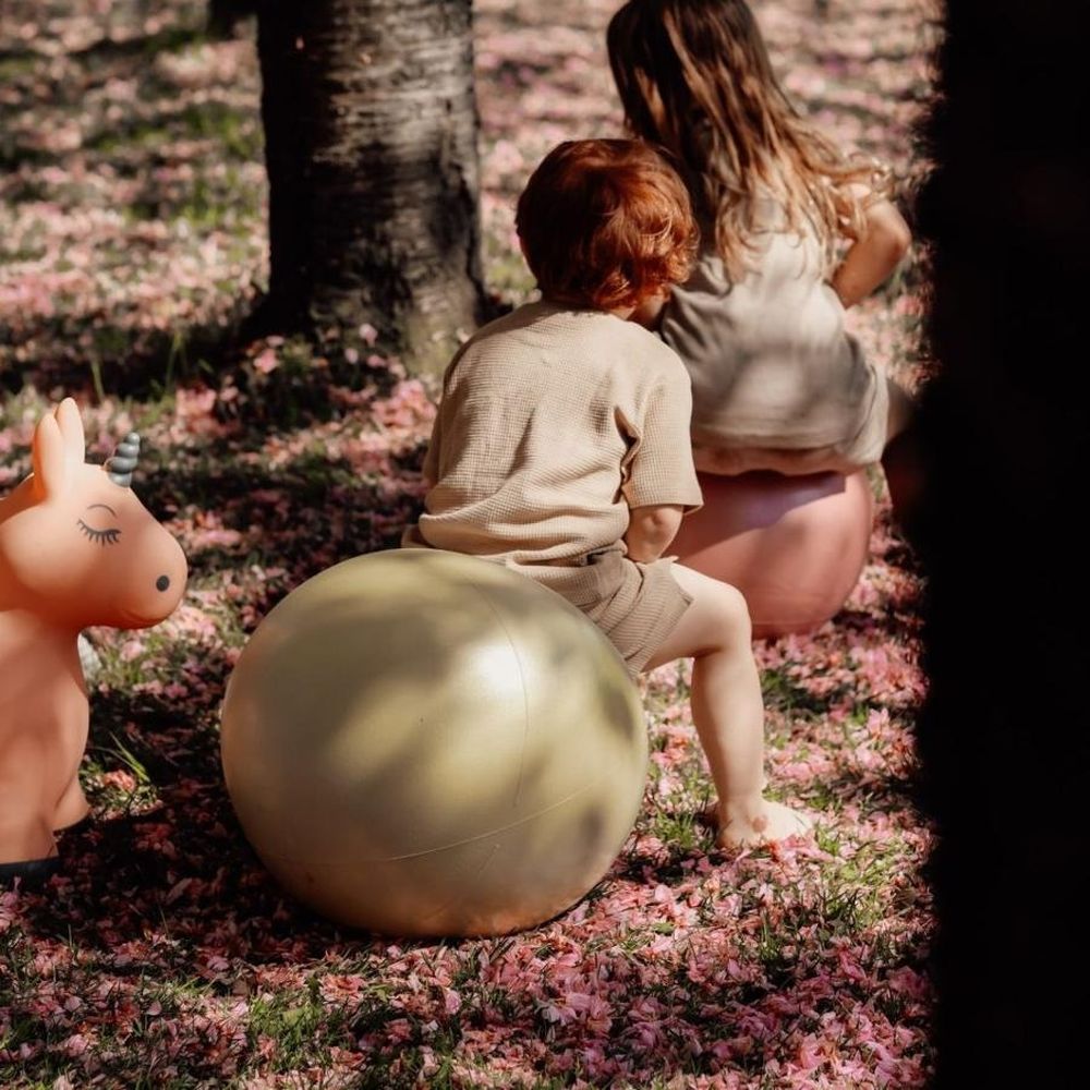 Find that Hippo, piłka do skakania, zielona