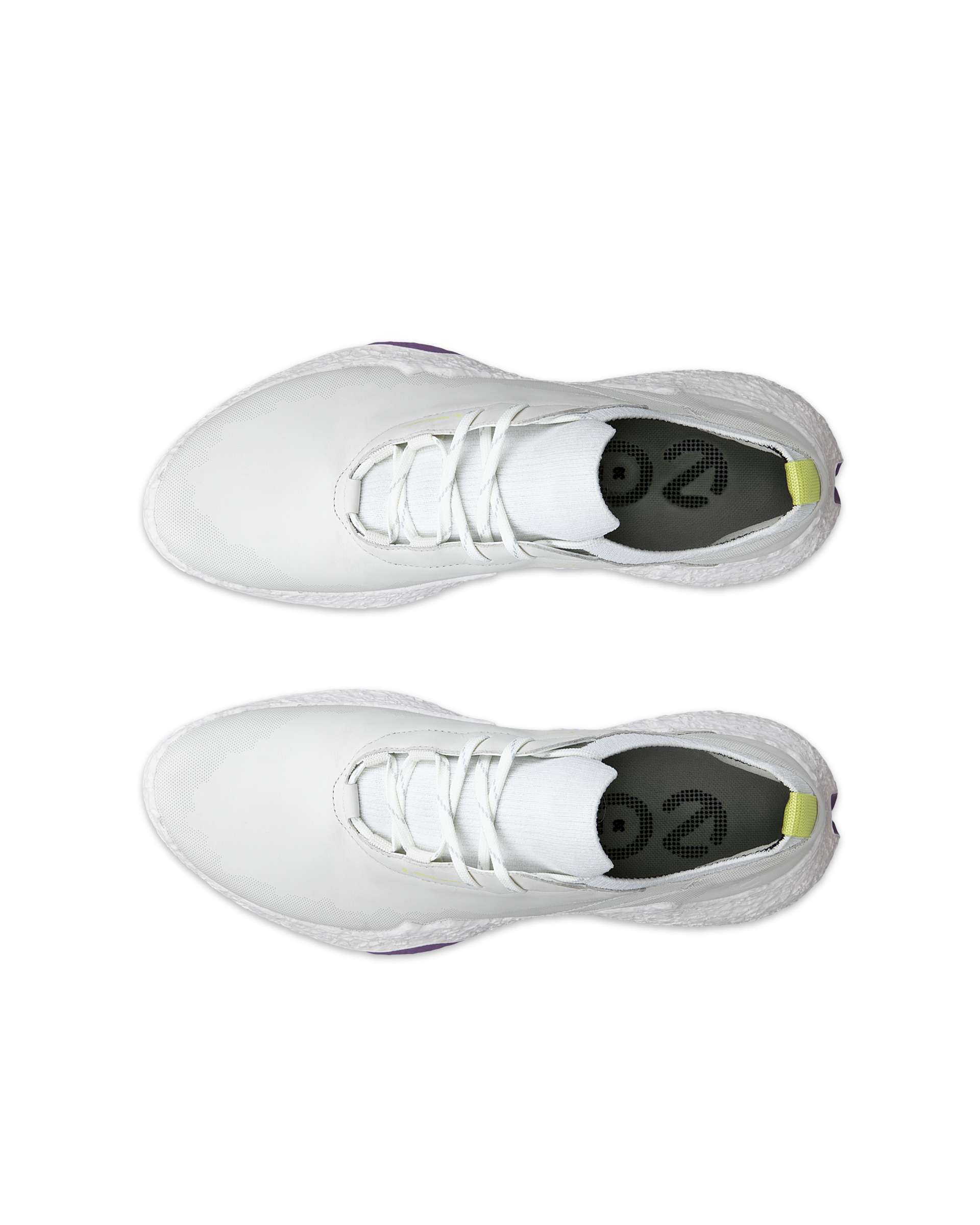 ECCO ECCO W GOLF BIOM H5