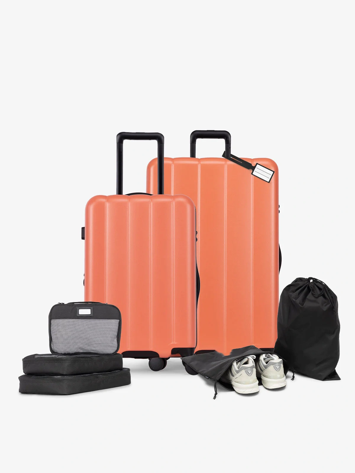Pack de démarrage Evry