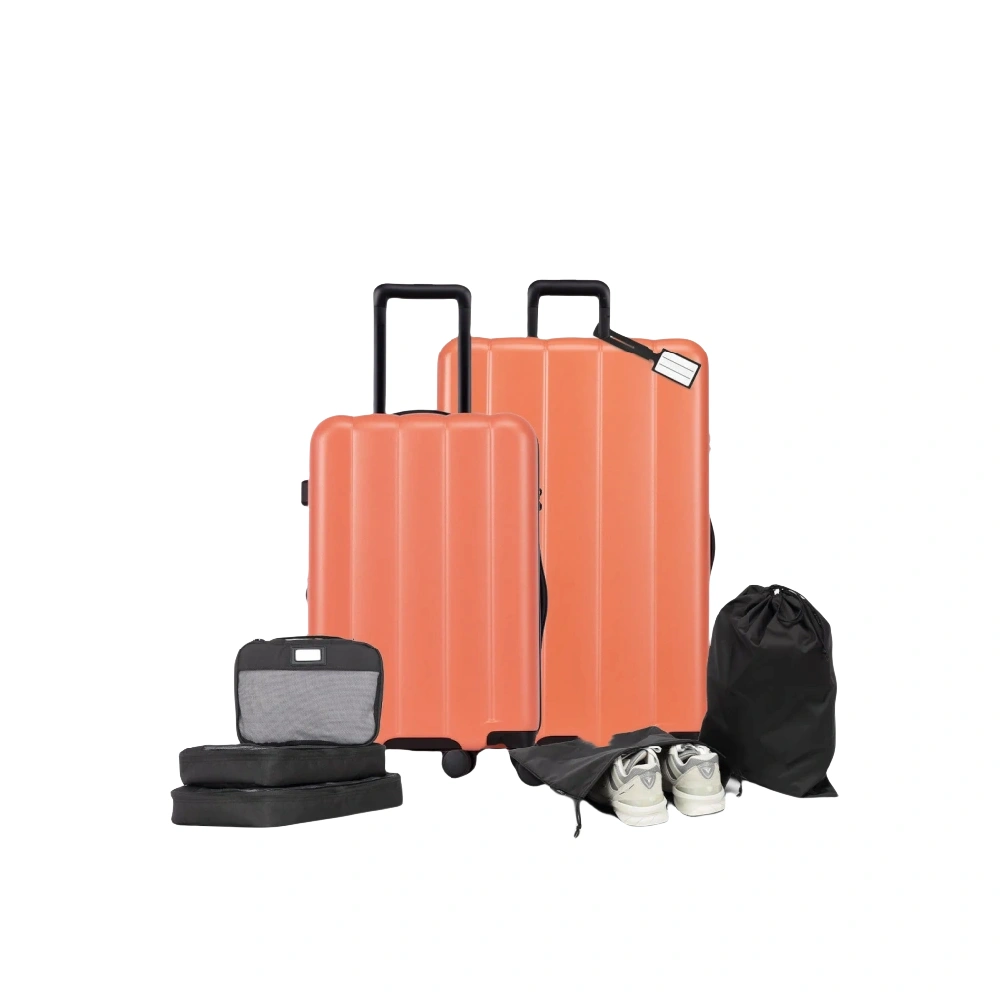 Pack de démarrage Evry