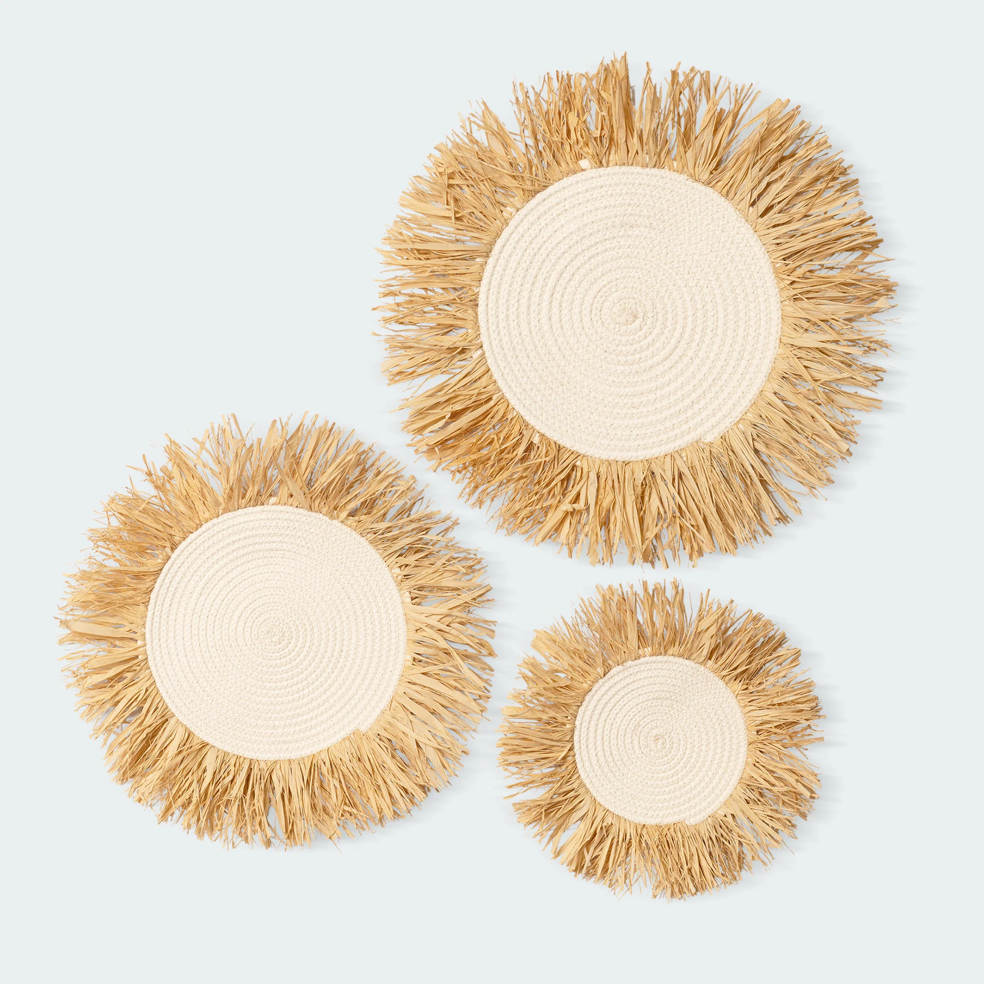 Fringe Raffia Wall Basket Decor Set of 3