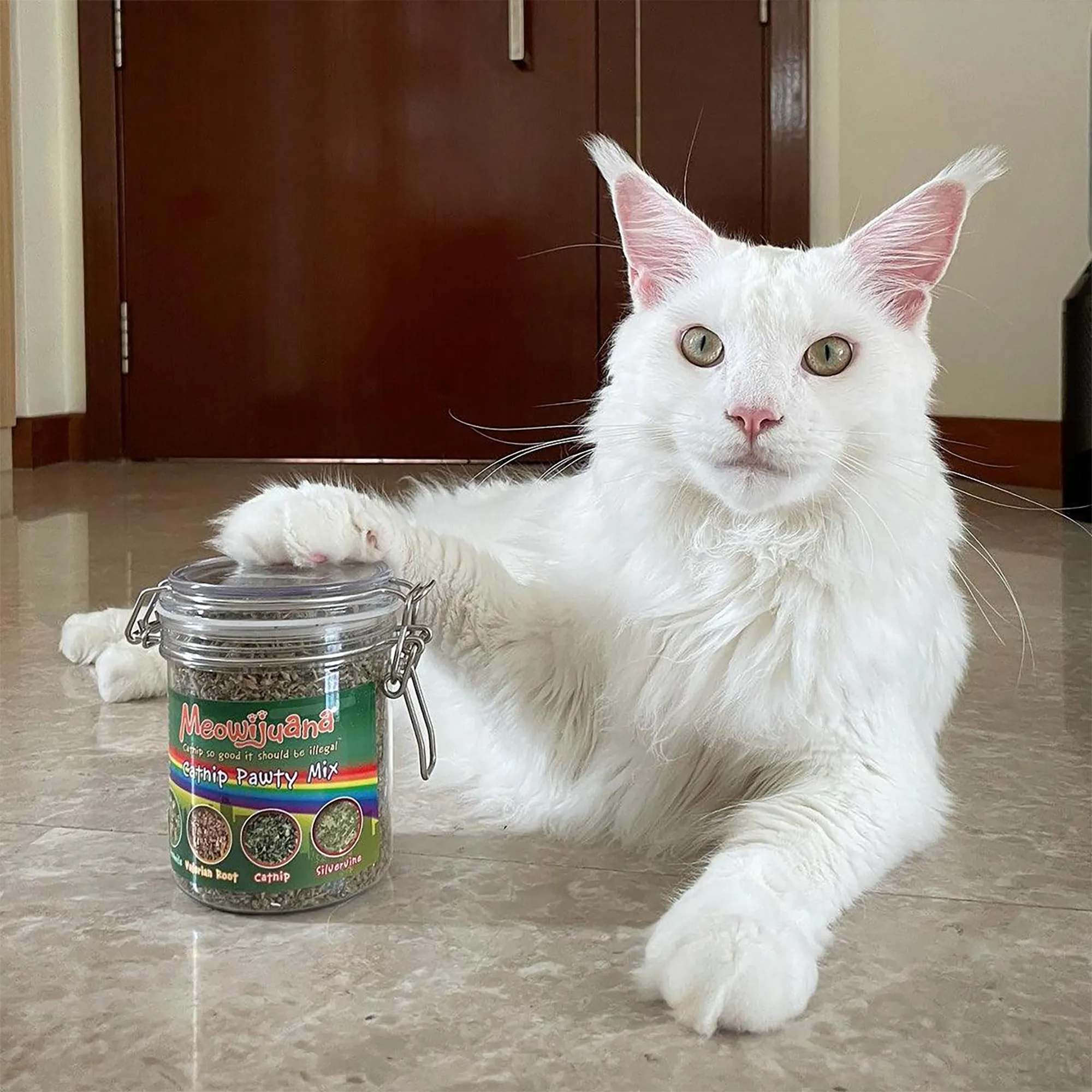 Jar of Catnibas® Catnip Pawty Mix