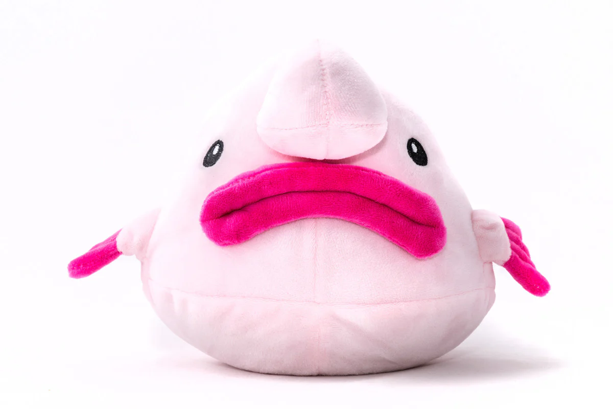 Blobfish plush 10 in