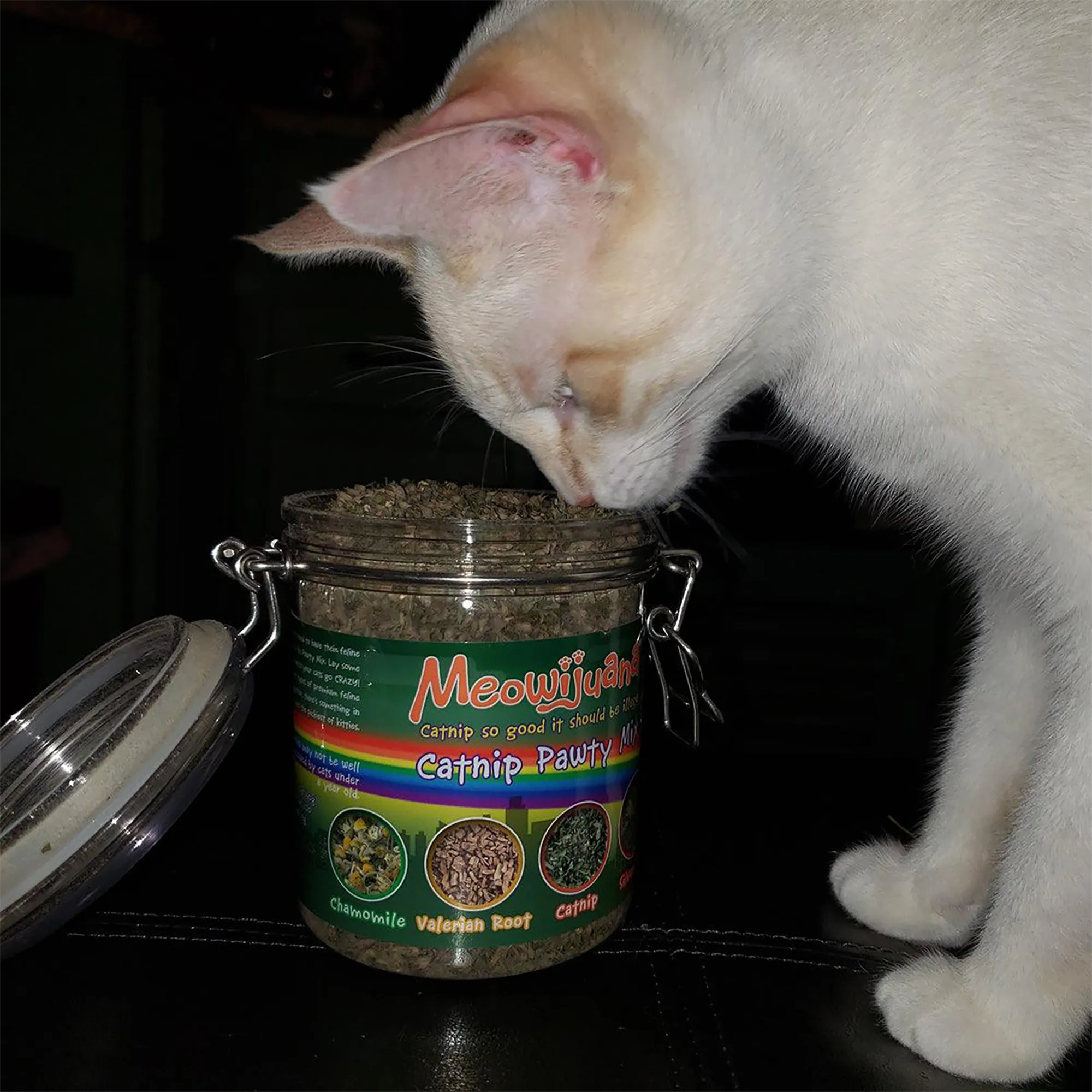 Jar of Catnibas® Catnip Pawty Mix