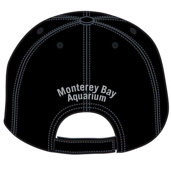 Adult embroidered hammerhead shark hat