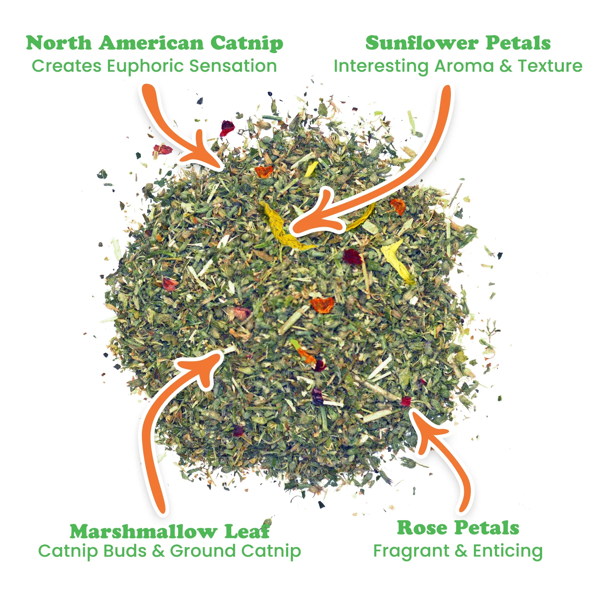 Pawtriotic Hotdog Bundle