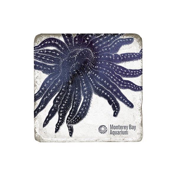 Sea Sketches marble coaster set