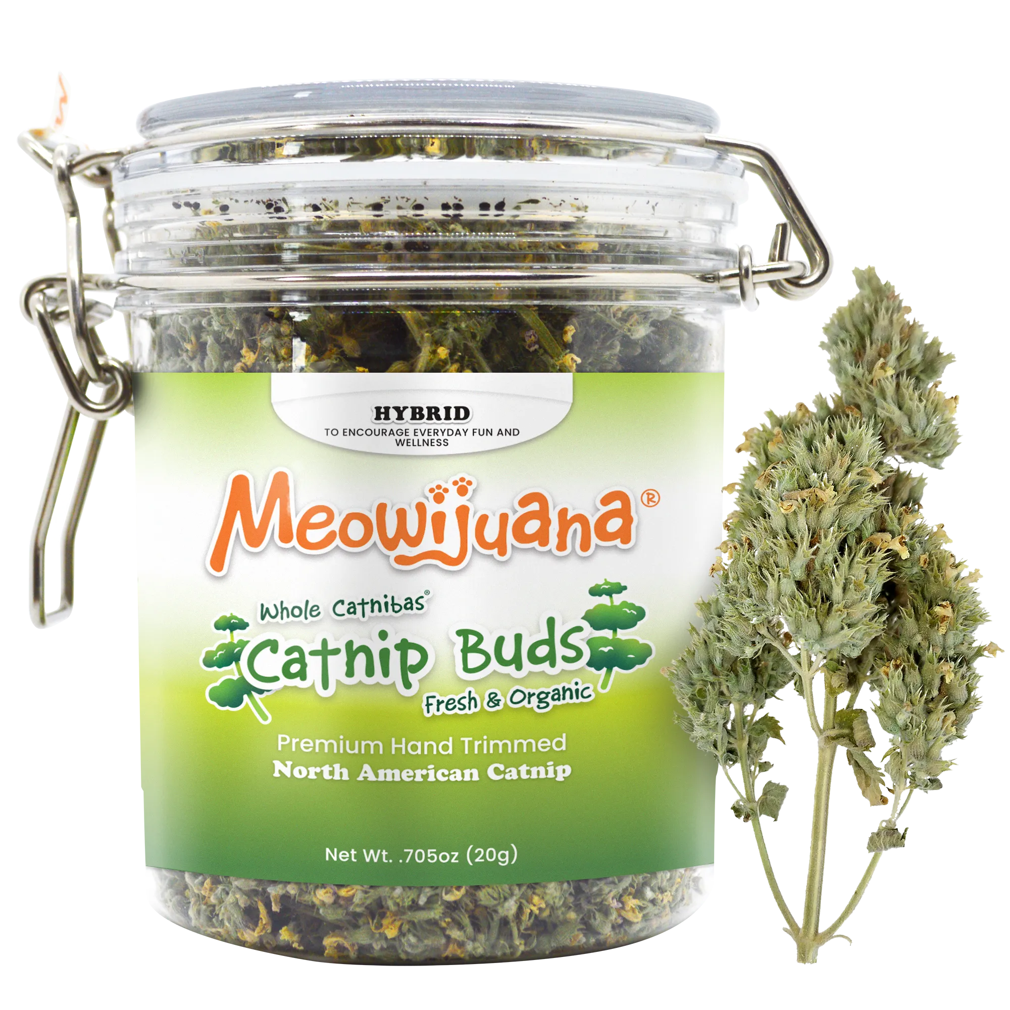 Jar Catnibas® Catnip Buds