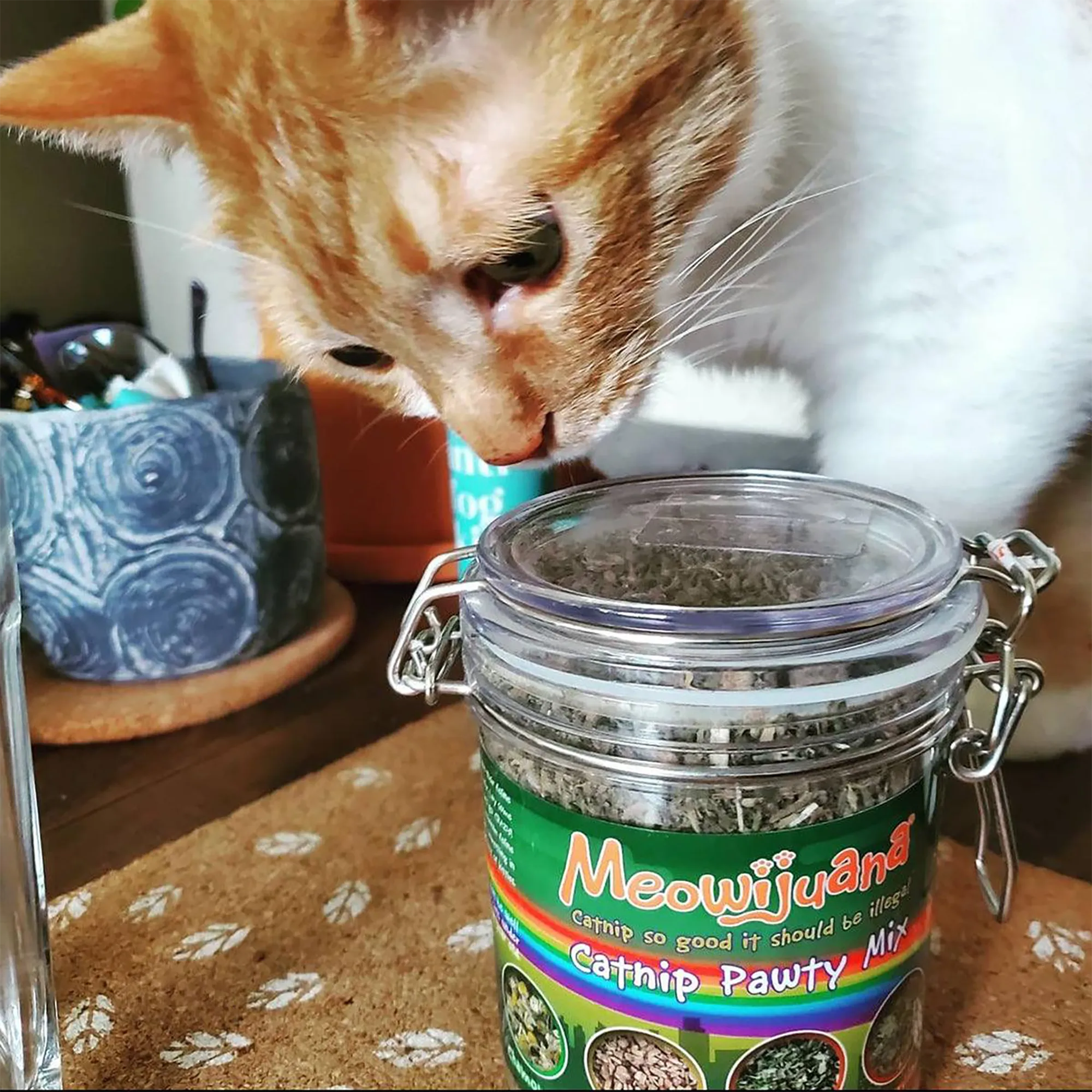 Jar of Catnibas® Catnip Pawty Mix