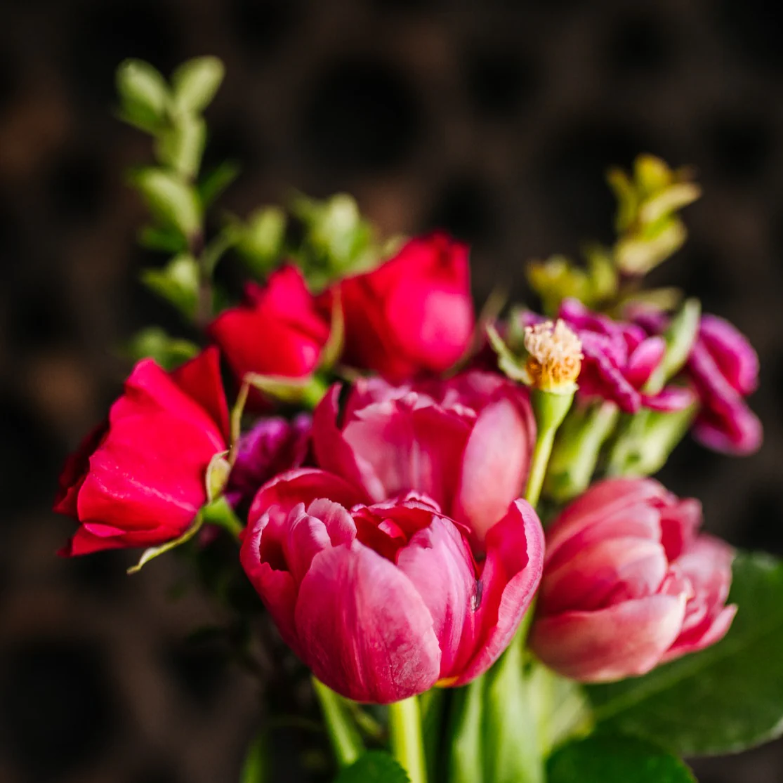 Terrace Garden™ Shampoo Bar for Dry Hair & Scalp | Floral Scent