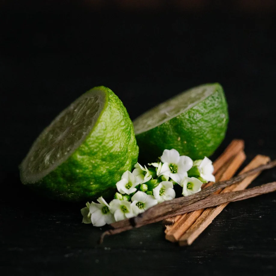 LIMITED Emerald Meadows Conditioner Bar