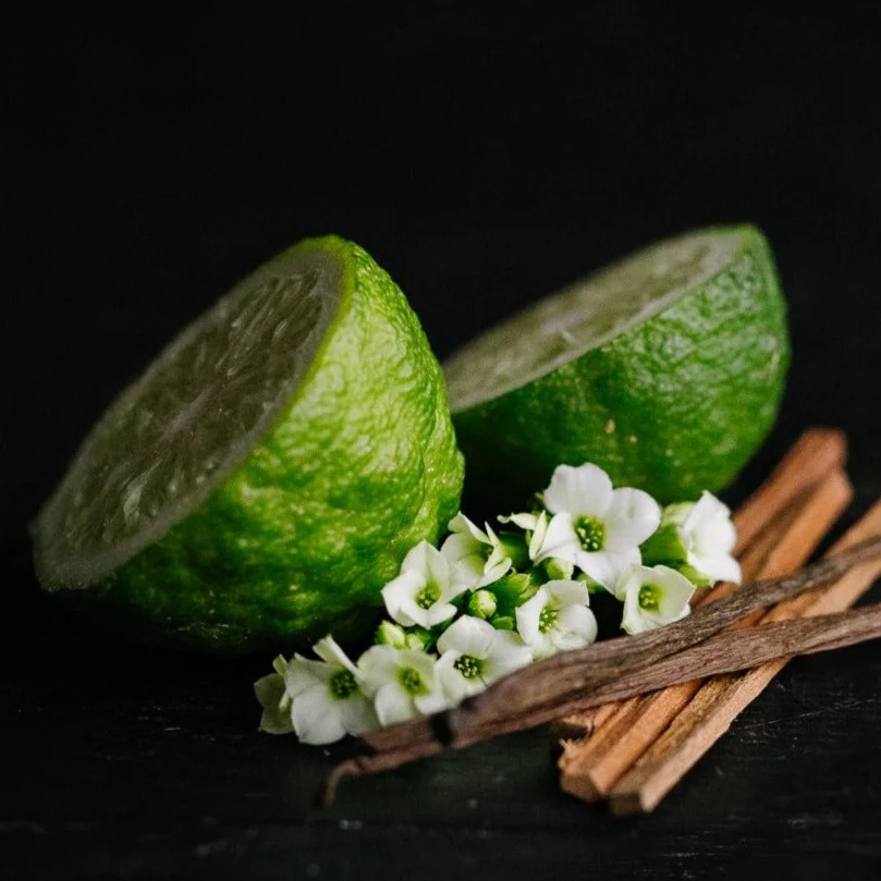 LIMITED Emerald Meadows Shampoo Bar