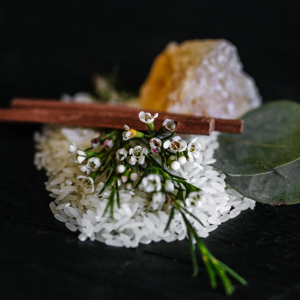 Foundation Bundle Starter Kit