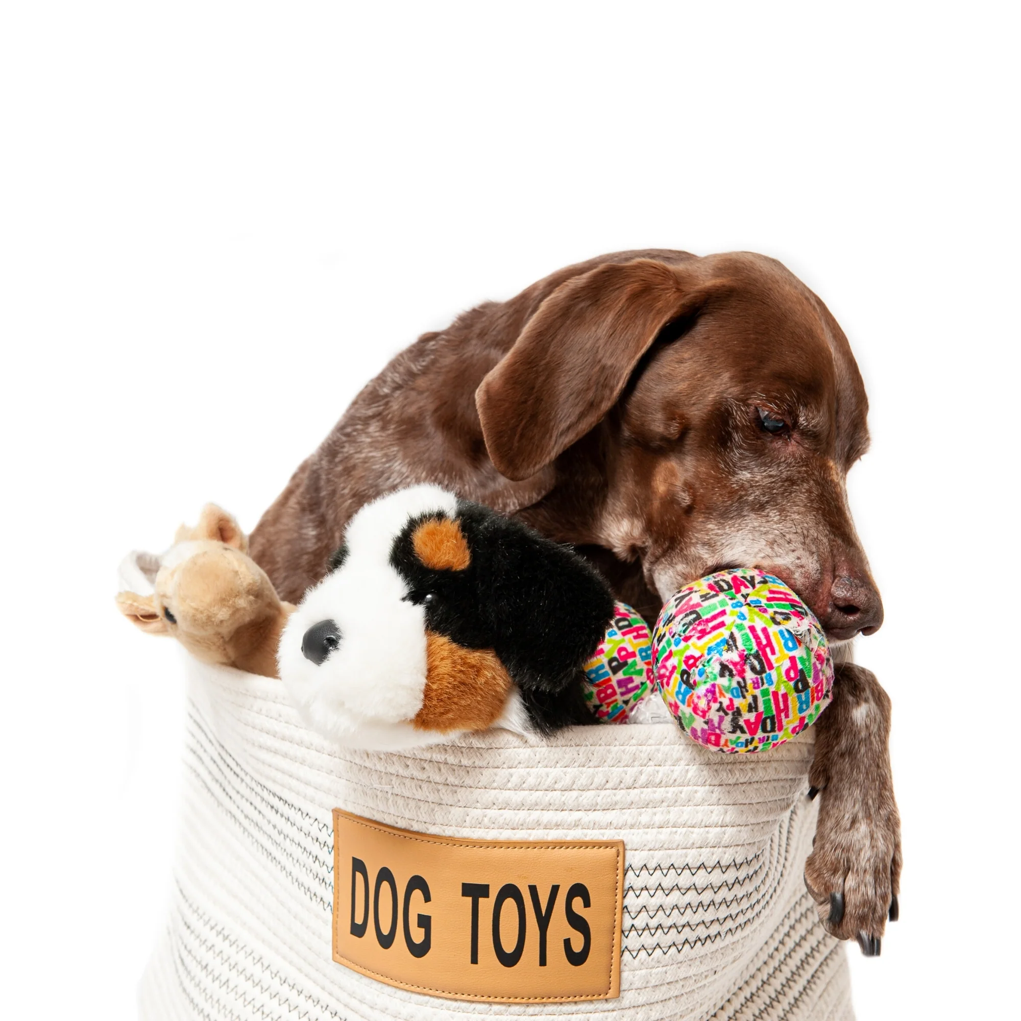 Midlee Dog Toy Rope Cotton Basket