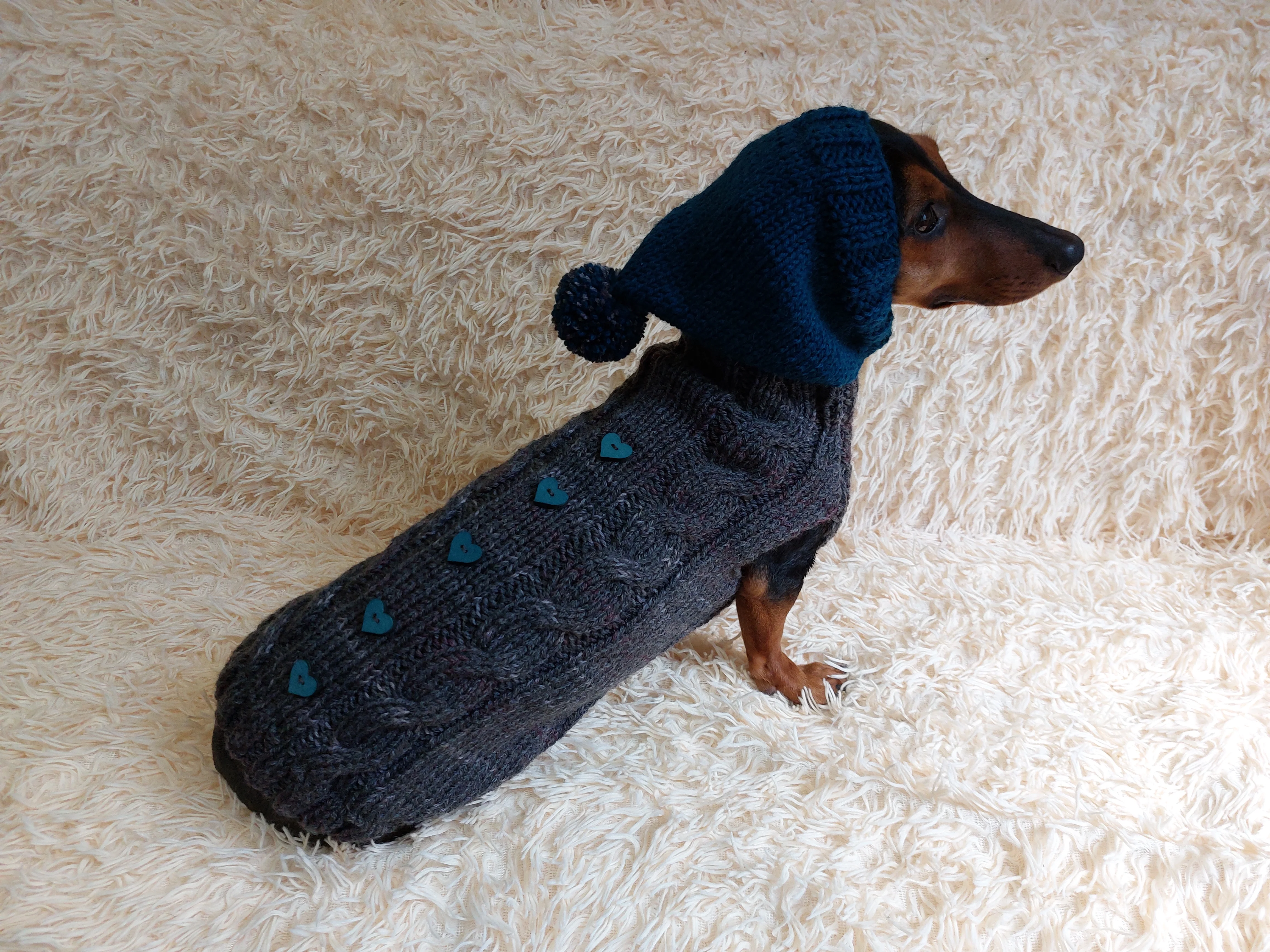 Pet clothes hoodie with hearts,Knitted hoodie for dog, hoodie for miniature dachshund