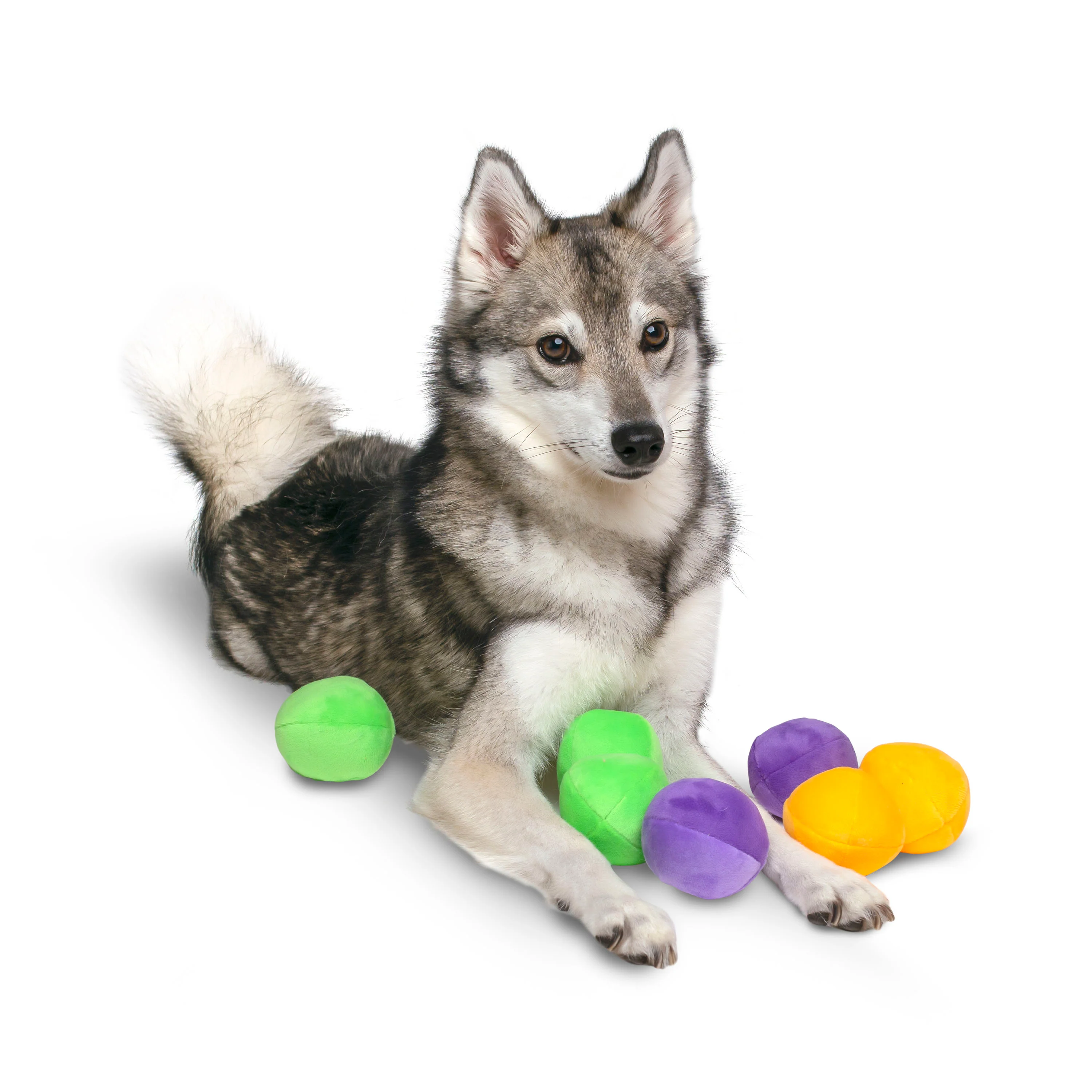 Midlee Squeaky and Crinkley Plush Dog Balls (Refill for Midlee Hide a Ball)