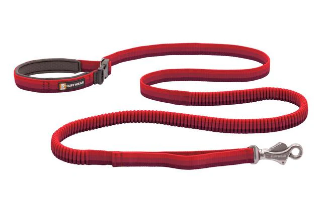Roamer Leash