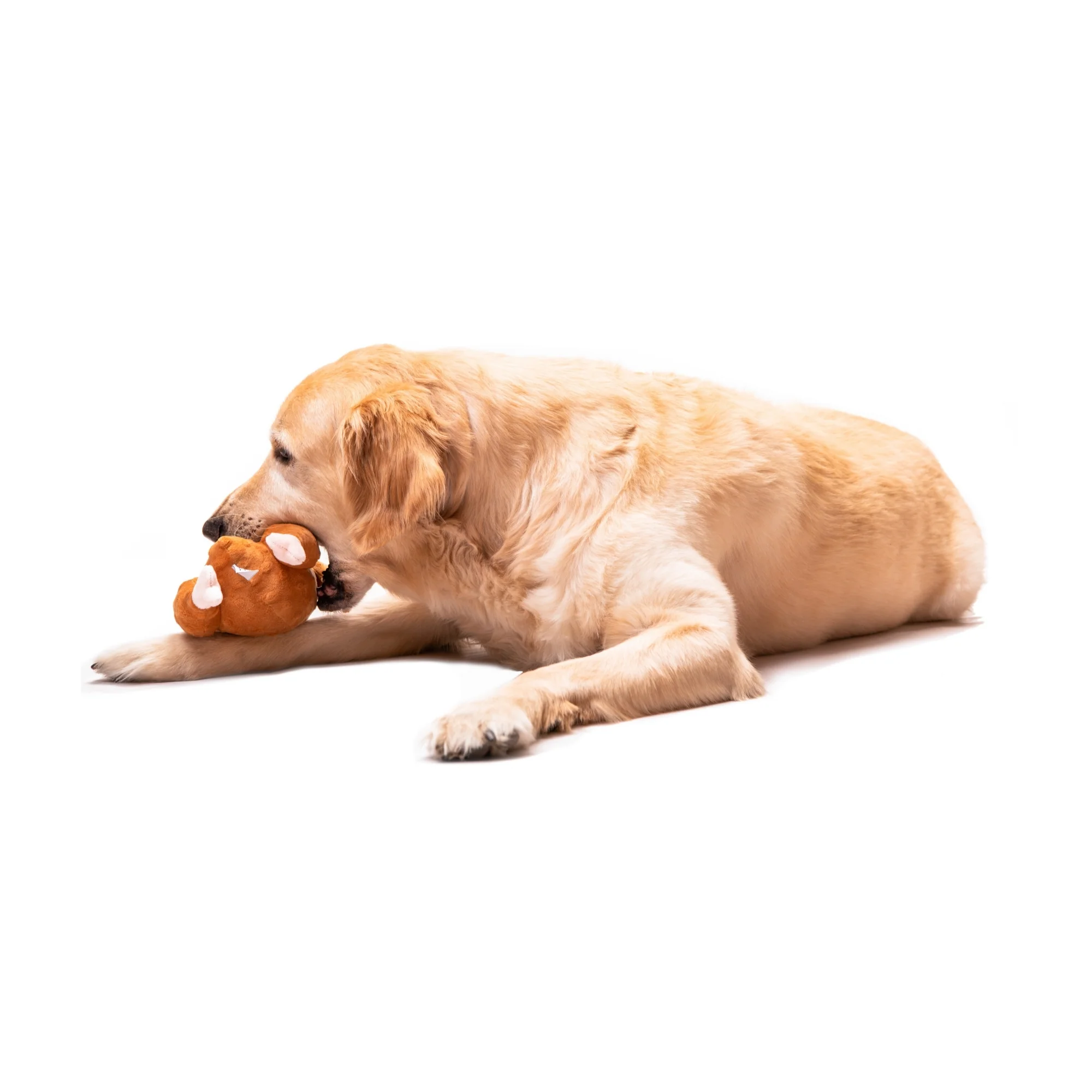 Midlee Roasted Thanksgiving Turkey Plush Dog Toy