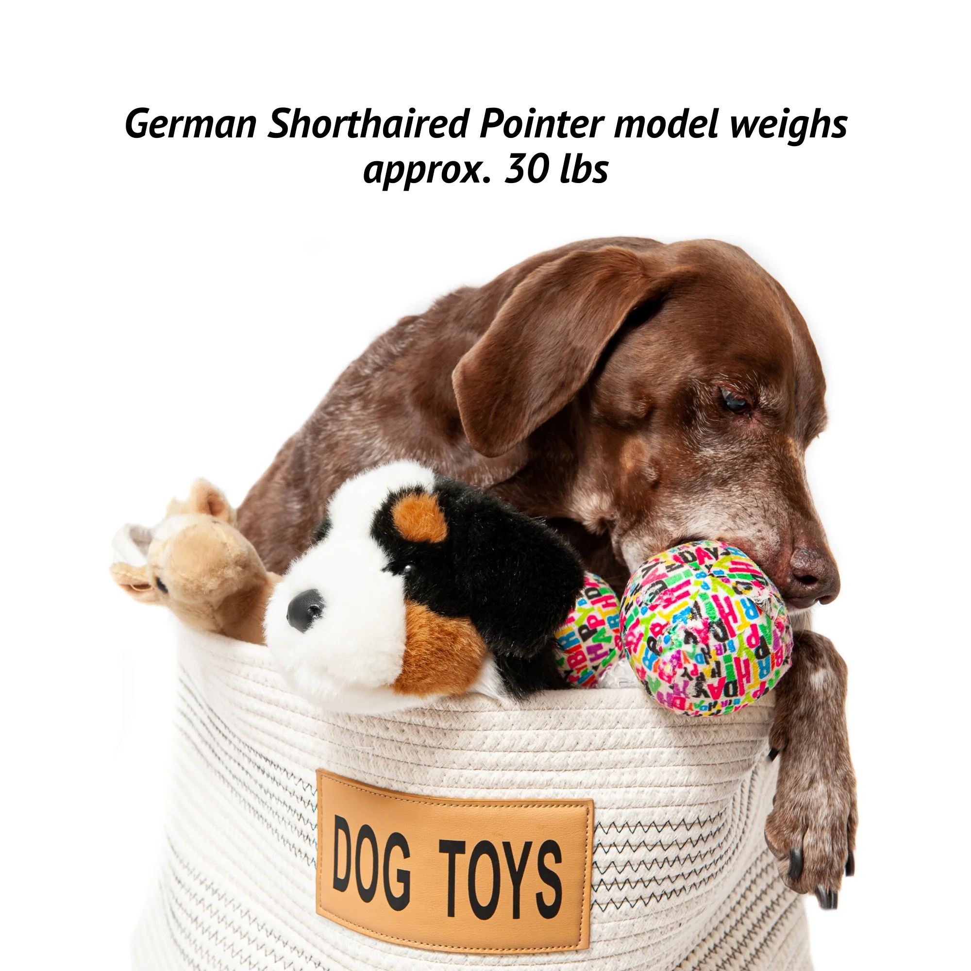 Midlee Dog Toy Rope Cotton Basket