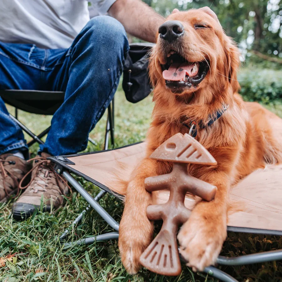 Benebone Fishbone with Jack Salmon