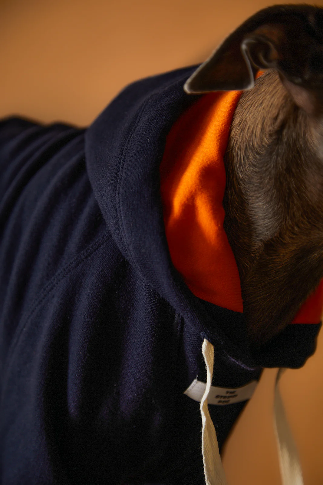 Dark Blue Hoodie BRIE