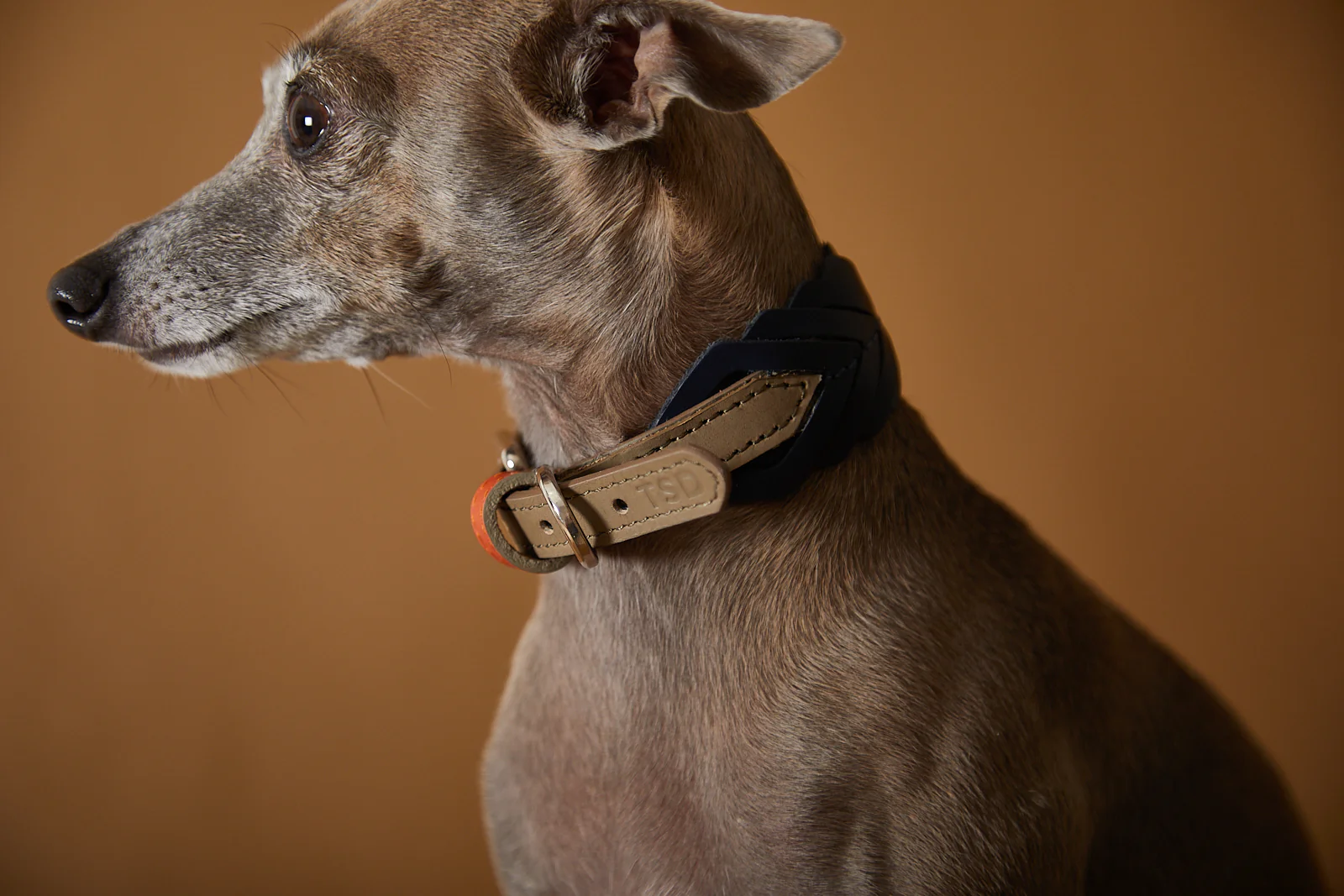 Leather Collar SOLEIL
