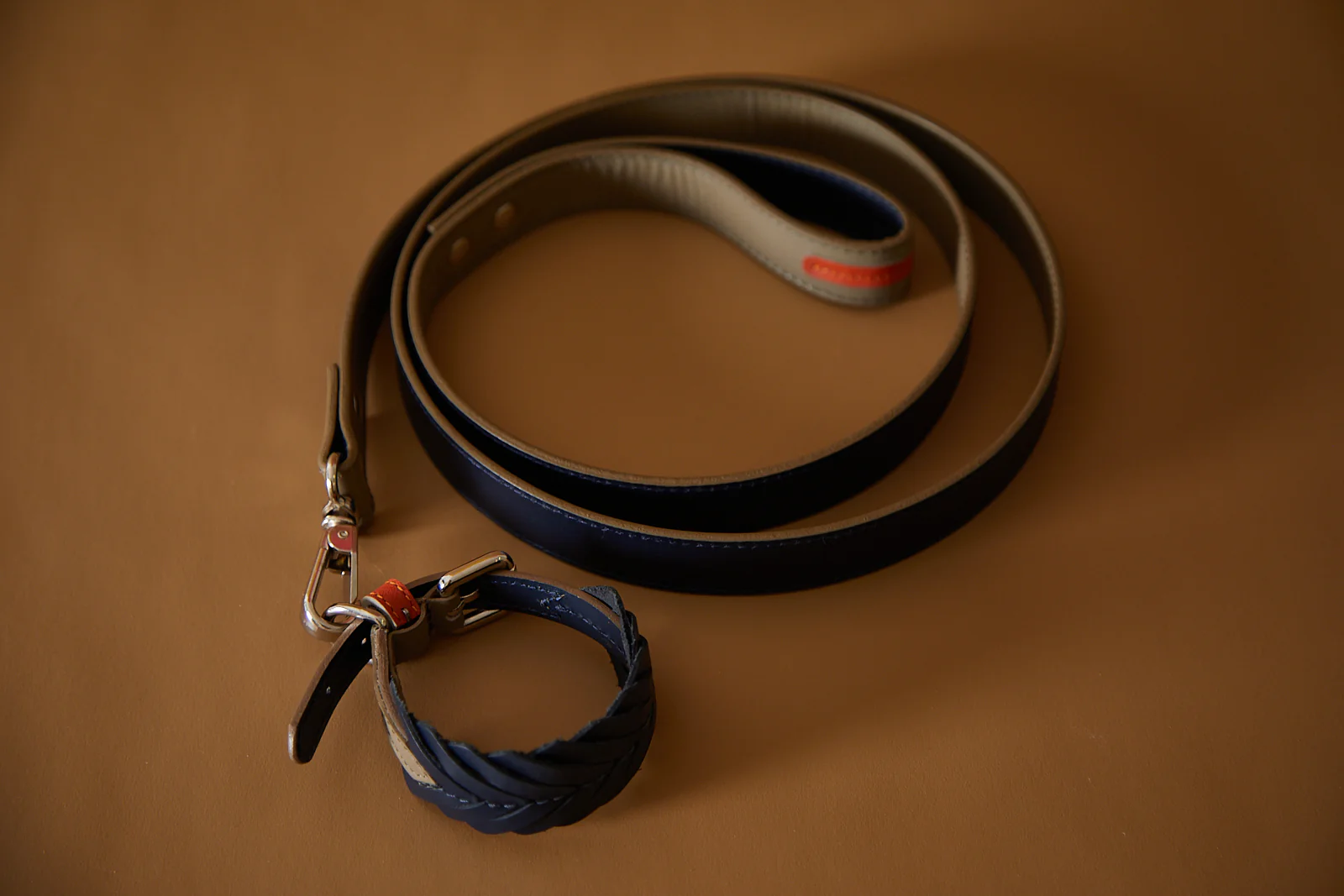 Leather Leash SOLEIL