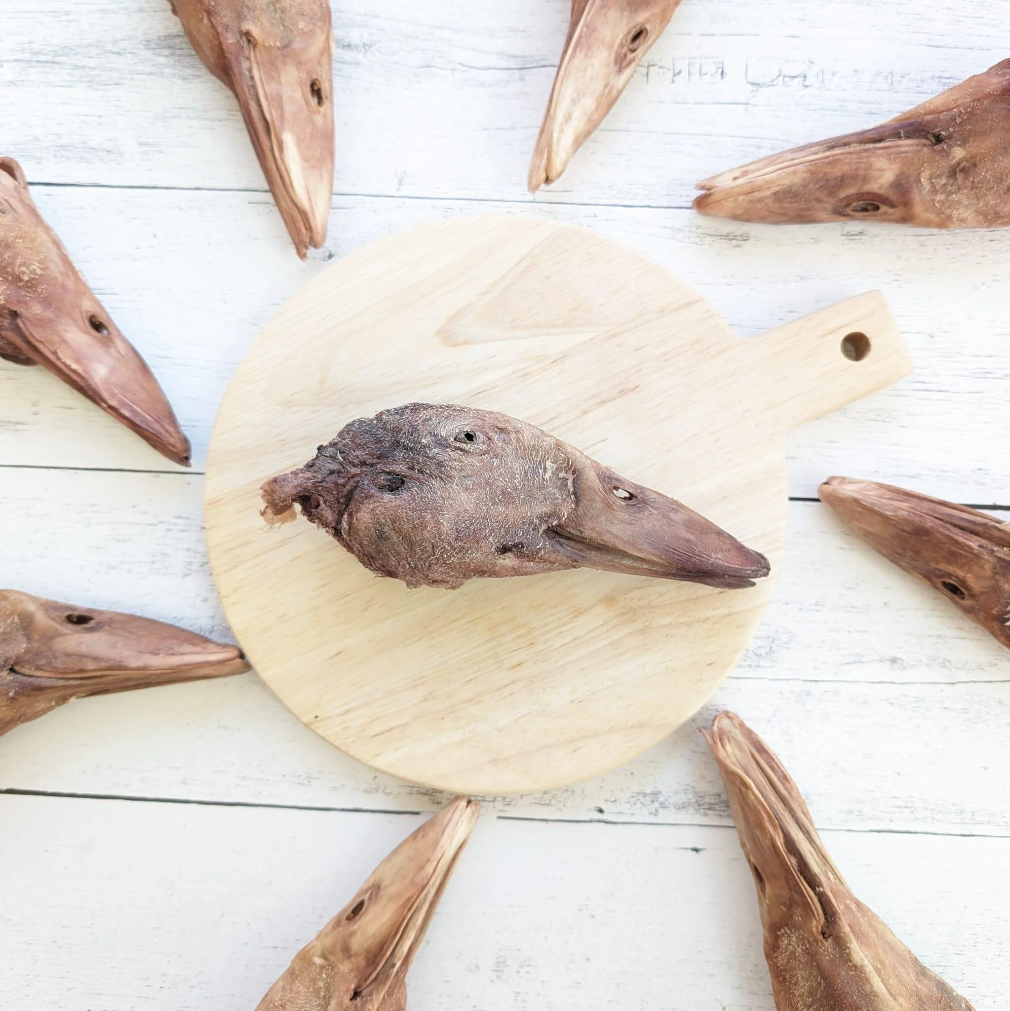 Momentum Duck Head Chew