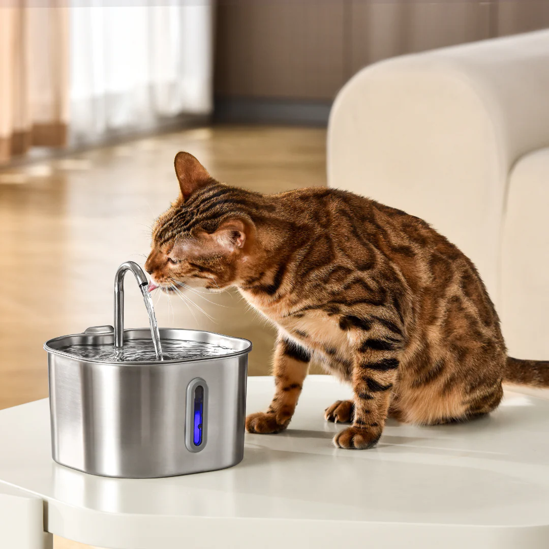 The KittySpout™ - 2.2L Fountain