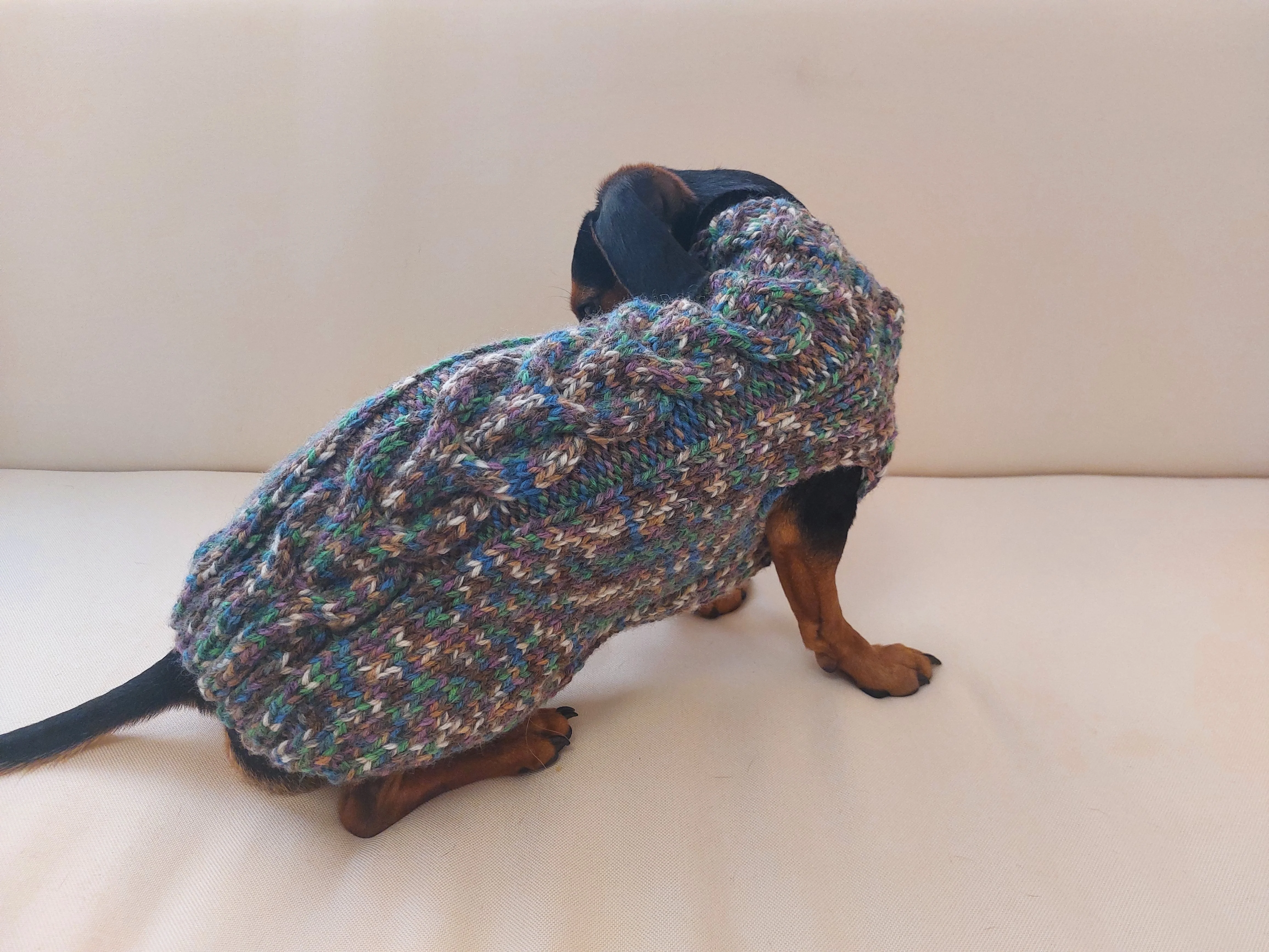Wool dog jumper,dachshund cloches wool sweater