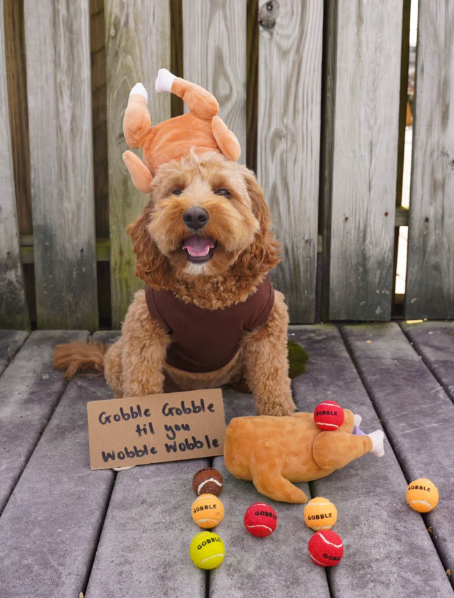 Midlee Roasted Thanksgiving Turkey Plush Dog Toy