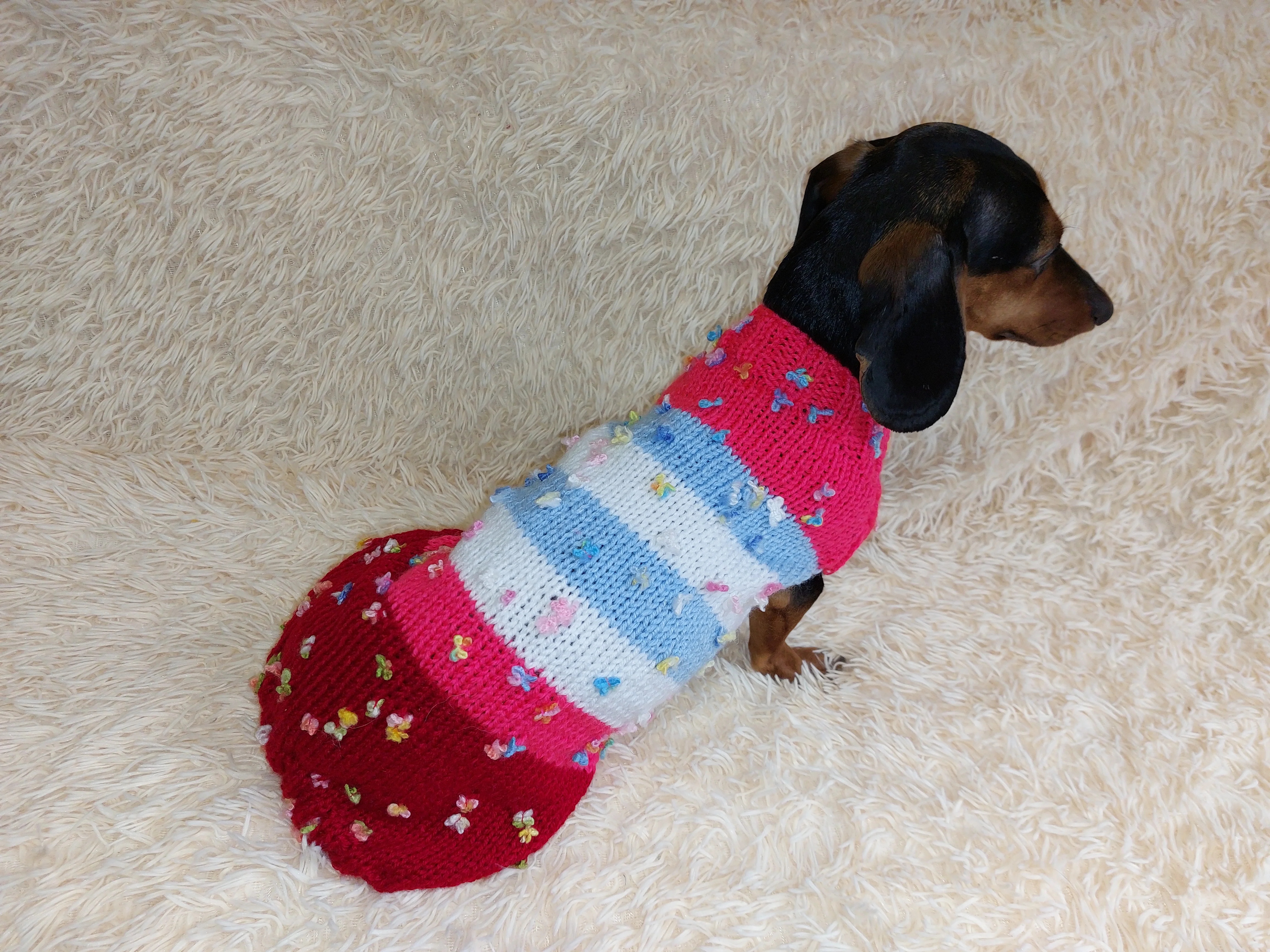 Striped floral bright outfit for a dog with flowers