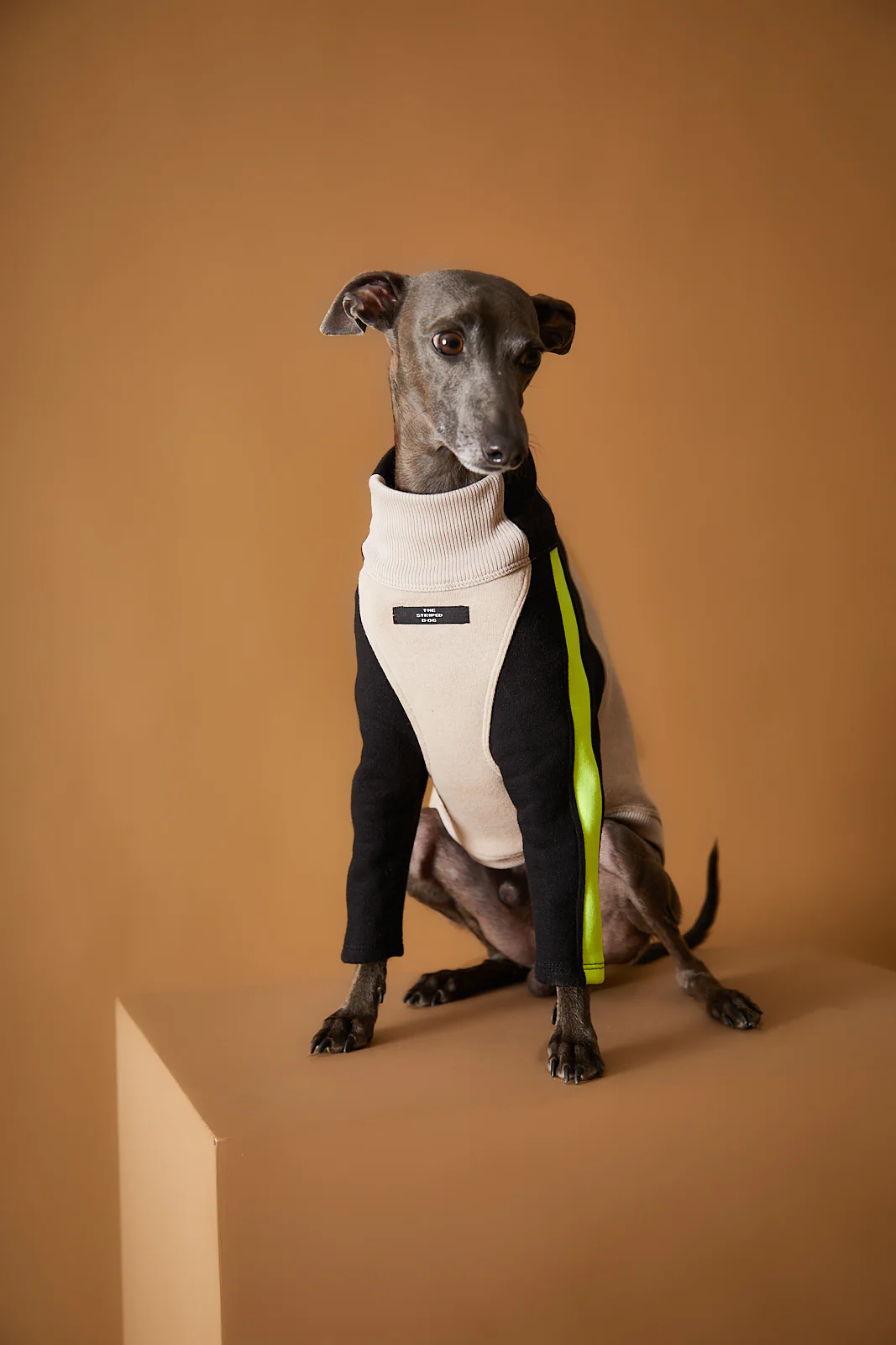 Italian Greyhound / Whippet Turtleneck Sweater BELLE
