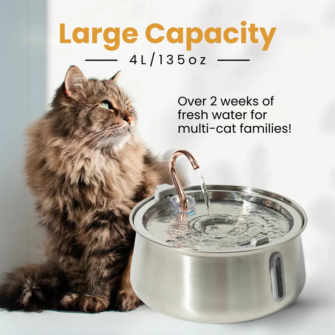 The KittySpout™ 2.0 - Health & Happiness Cat Kit