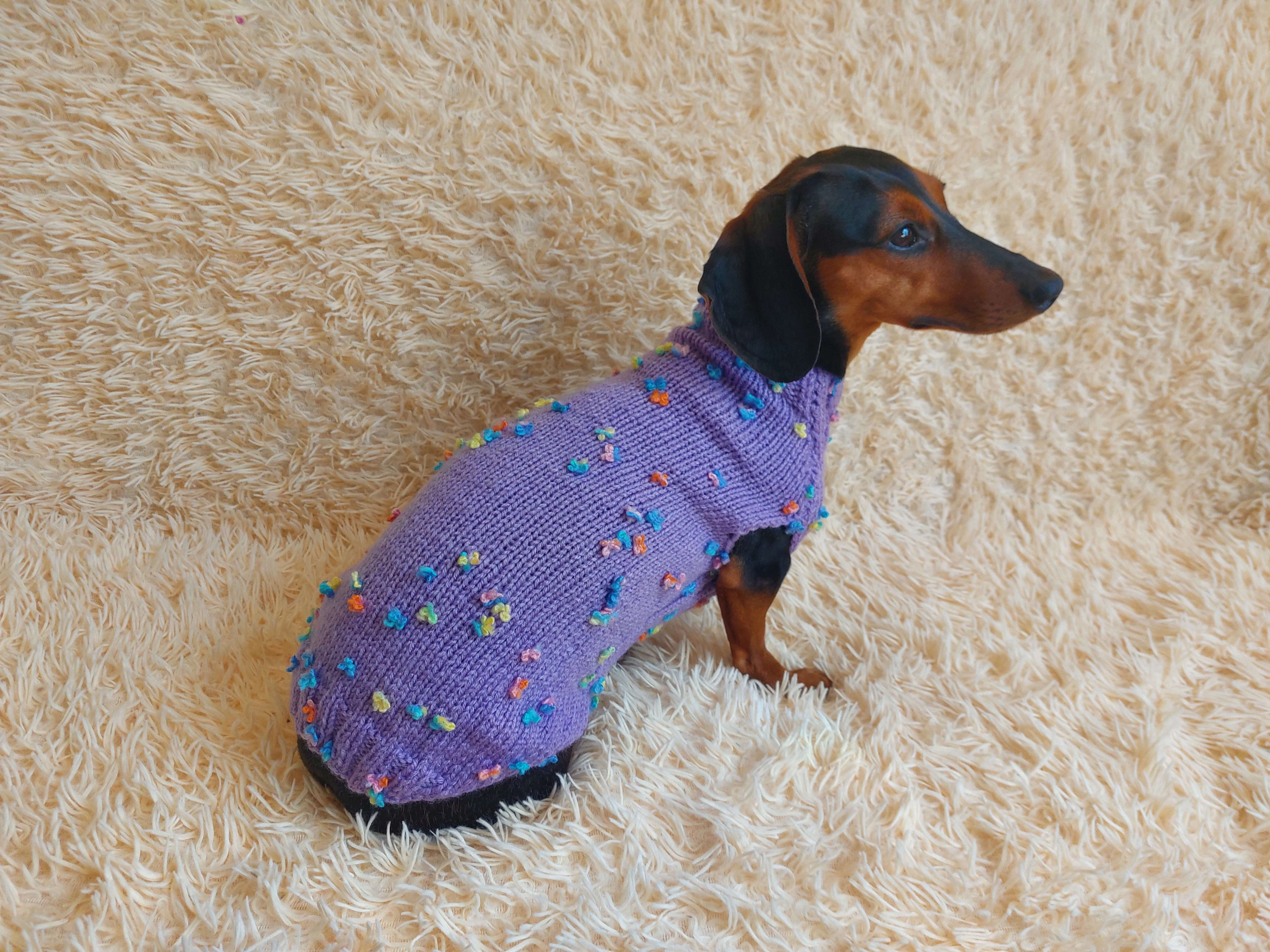 Jumper with flowers for a mini dachshund,Sweater with flowers and butterflies for miniature dachshund or small dog.