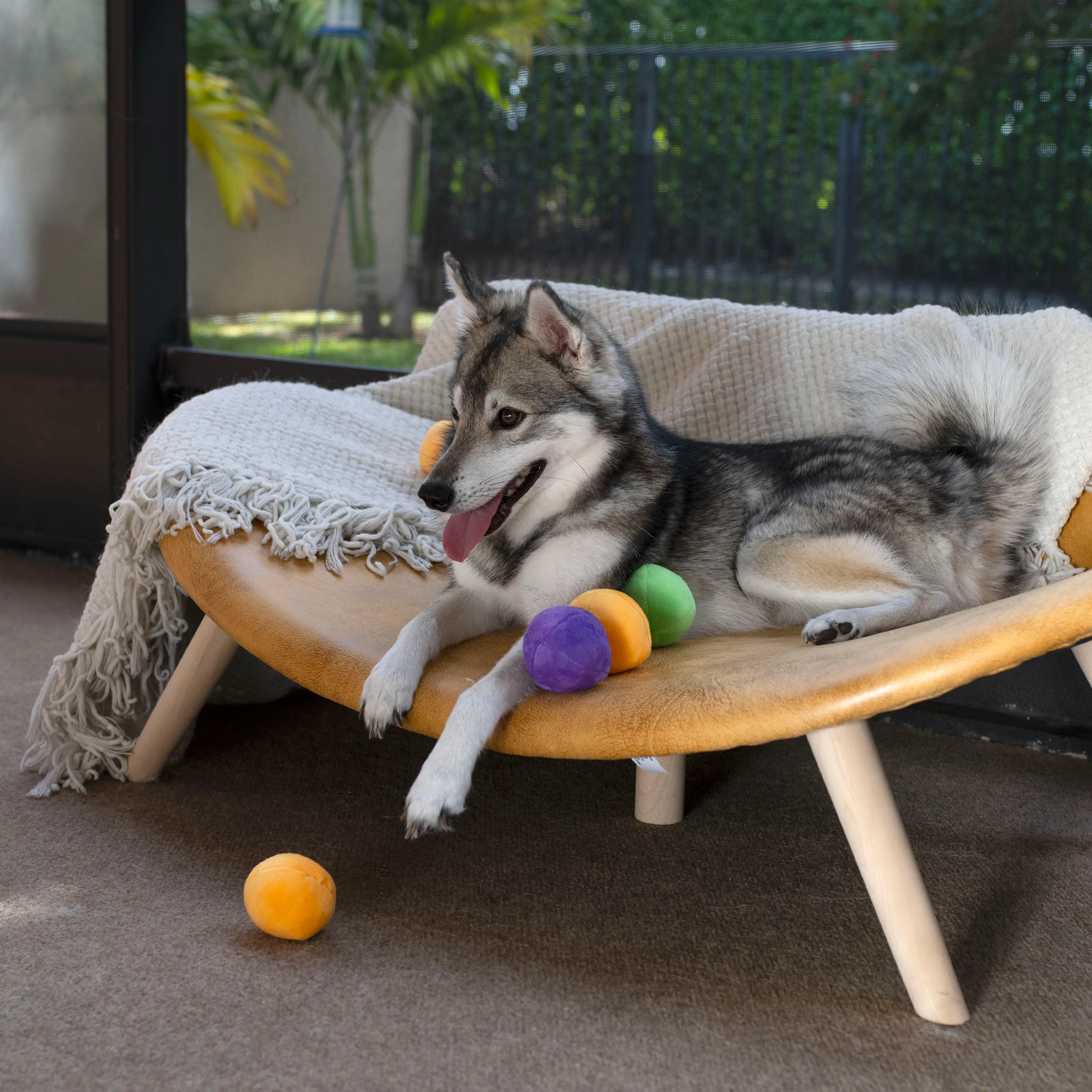 Midlee Squeaky and Crinkley Plush Dog Balls (Refill for Midlee Hide a Ball)