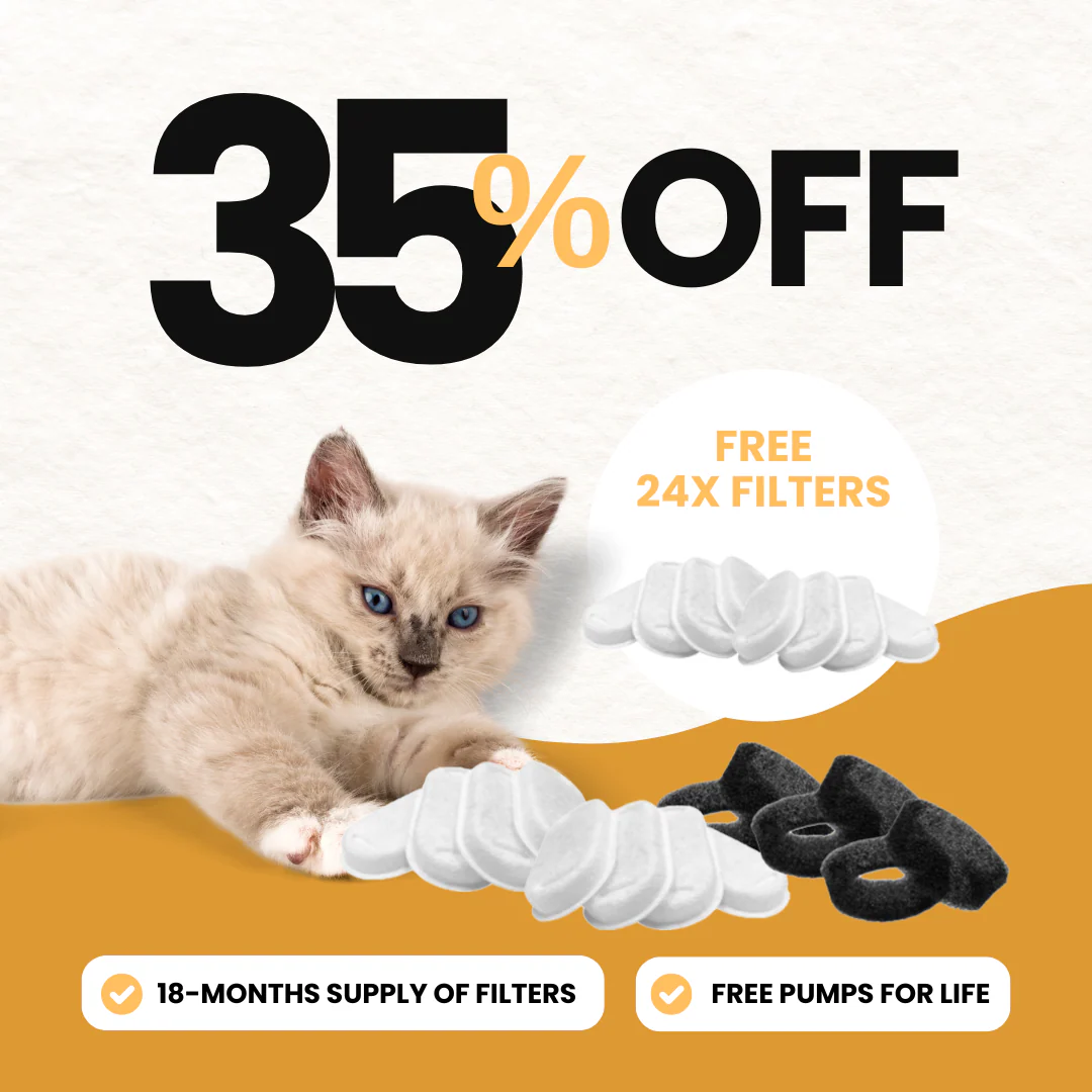 24x Filter Sets + 12x FREE