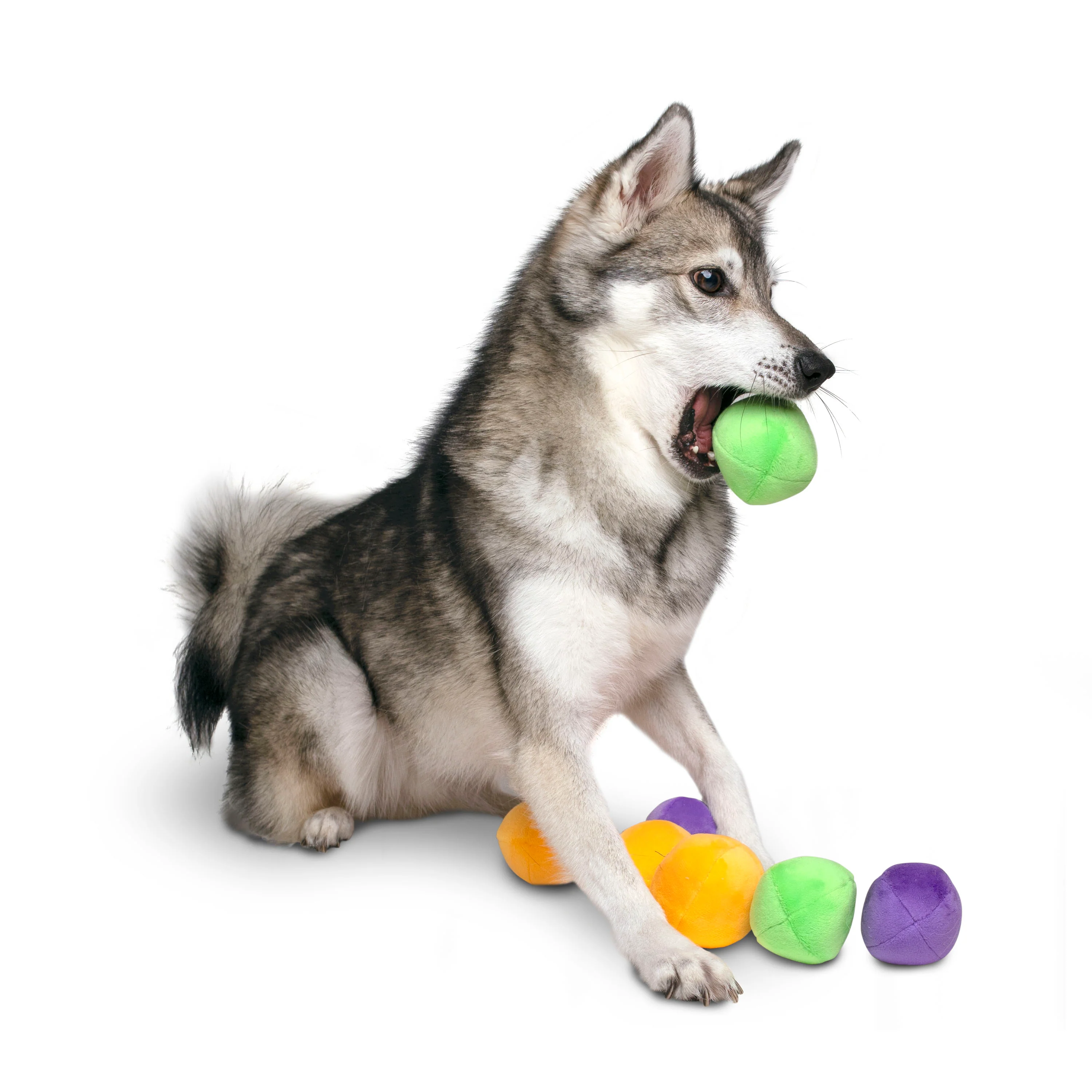 Midlee Squeaky and Crinkley Plush Dog Balls (Refill for Midlee Hide a Ball)