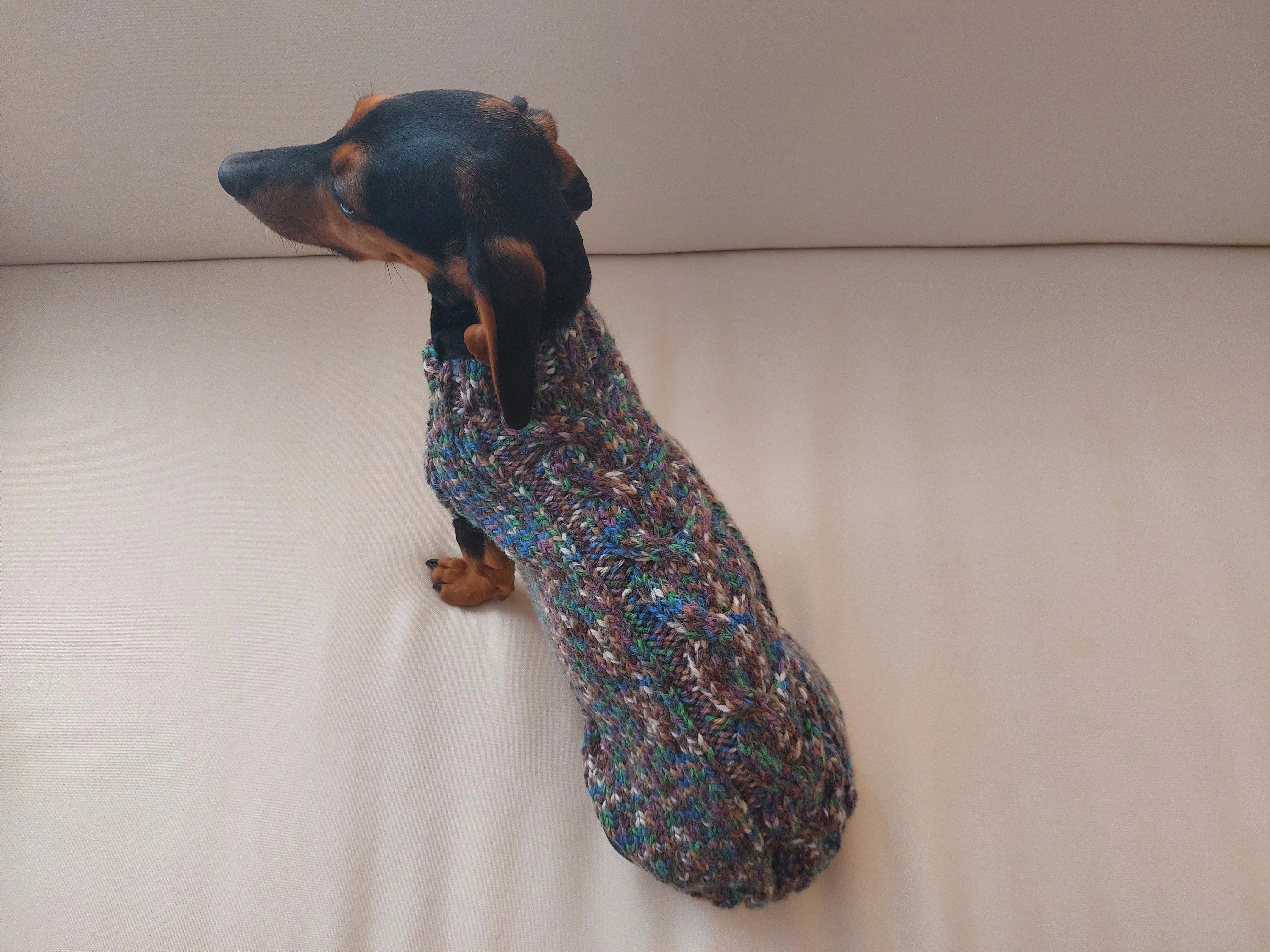 Wool dog jumper,dachshund cloches wool sweater