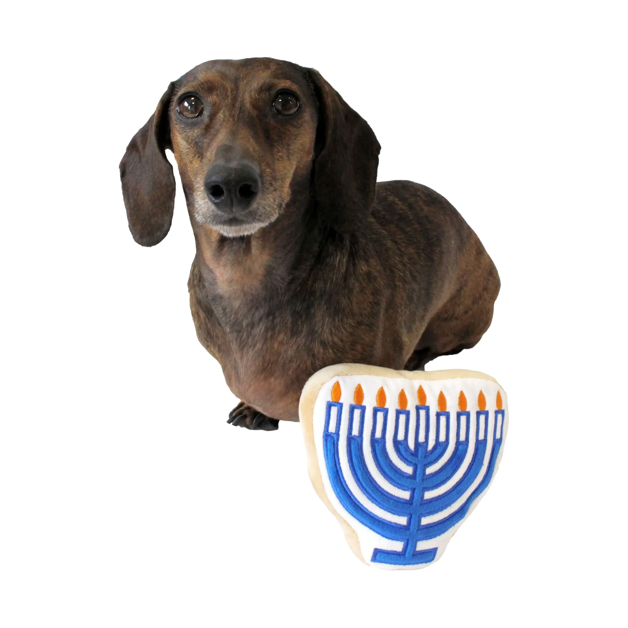 Midlee Menorah Sugar Cookie Dog Toy