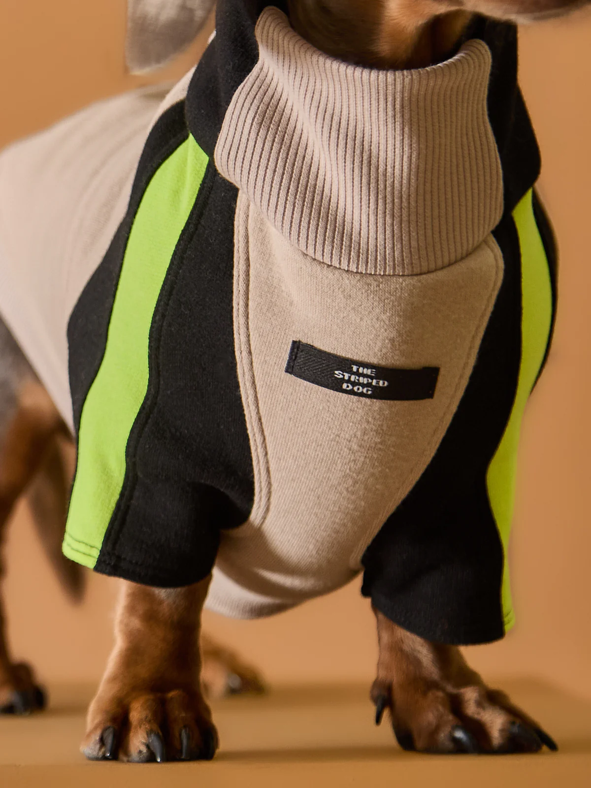 Dachshund Turtleneck Sweater BELLE