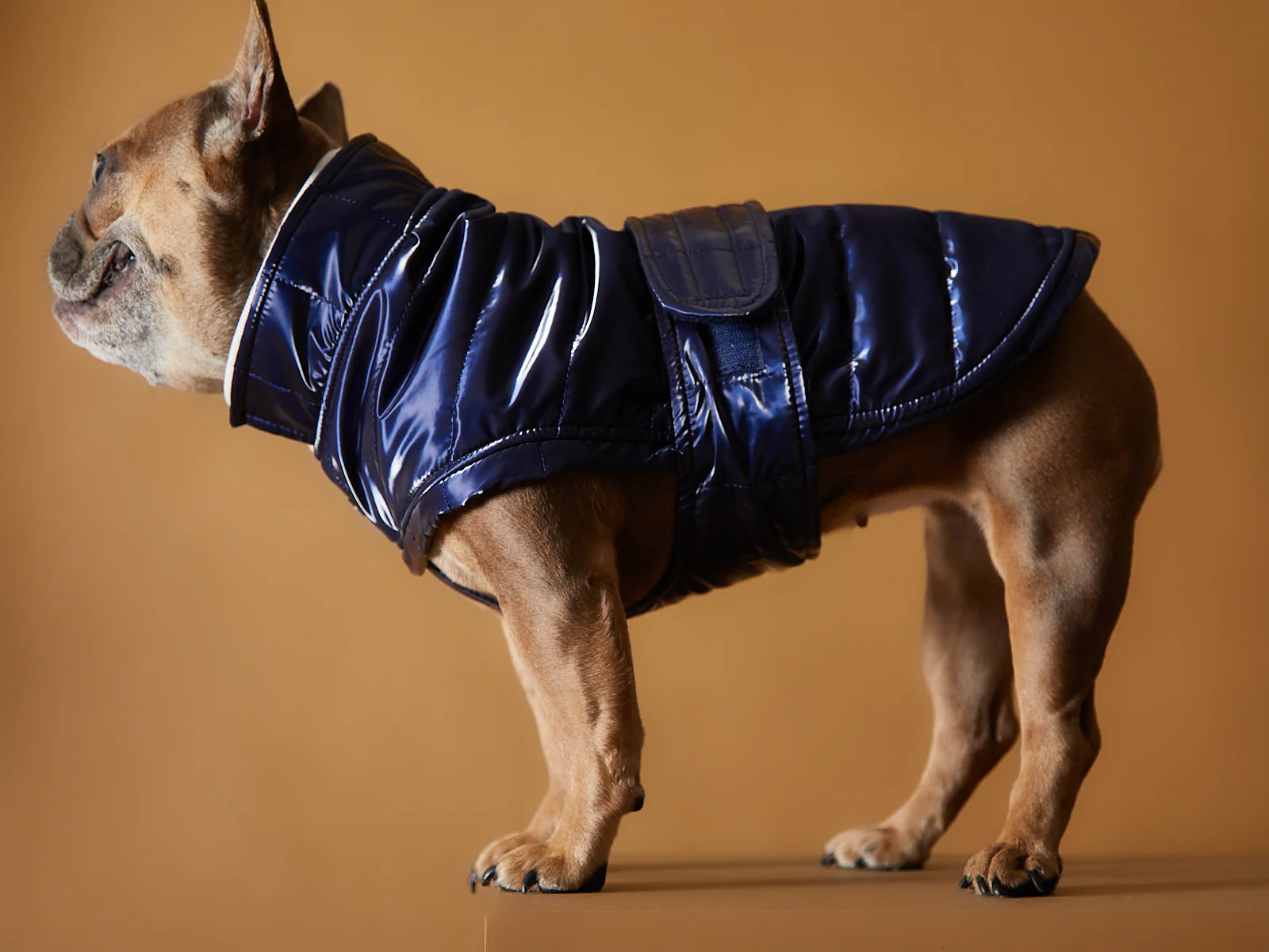 Blue Waterproof Turtleneck Jacket RUE