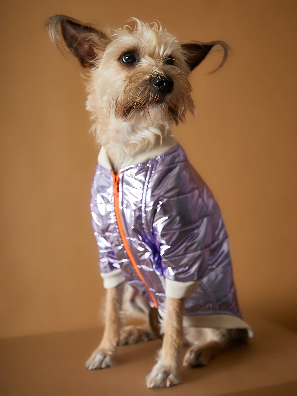 Metallic Lilac Bomber Jacket with Zipper OPERA