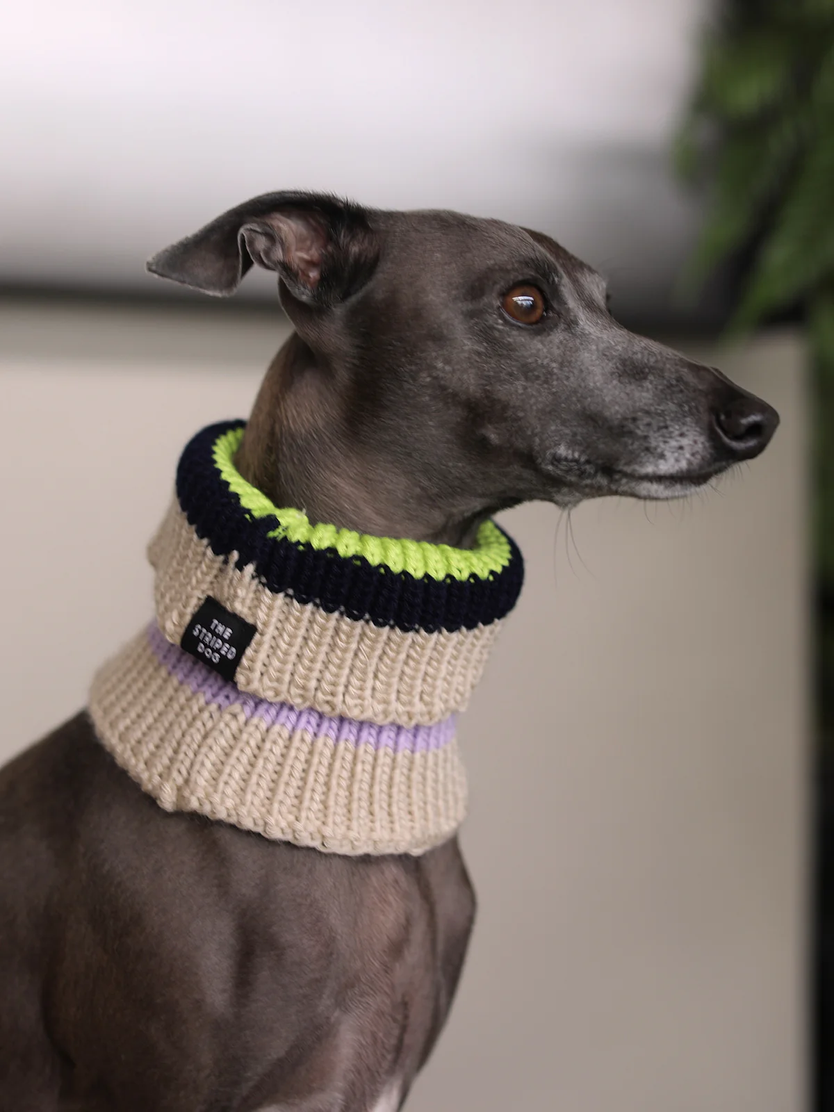 Bright Multicolored Striped Knit Scarf NICE