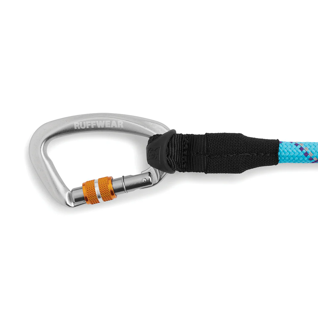 Just-a-Cinch Leash