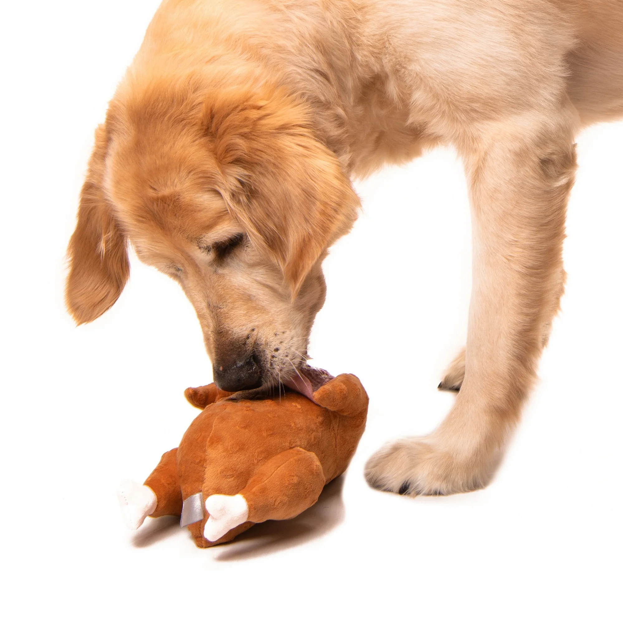 Midlee Roasted Thanksgiving Turkey Plush Dog Toy