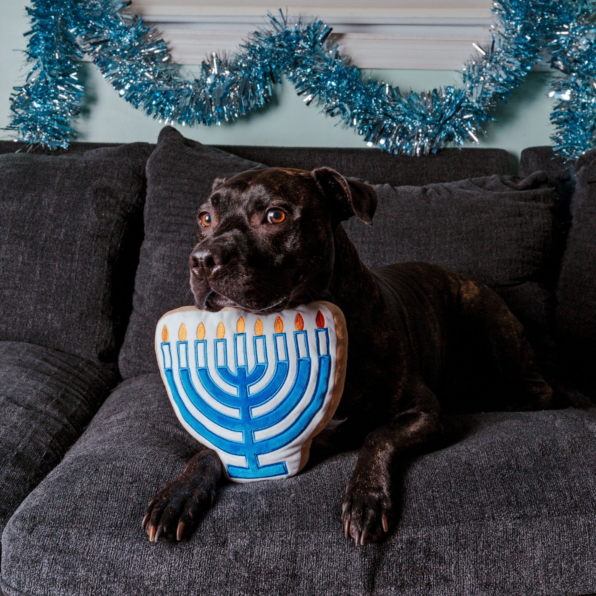 Midlee Menorah Sugar Cookie Dog Toy