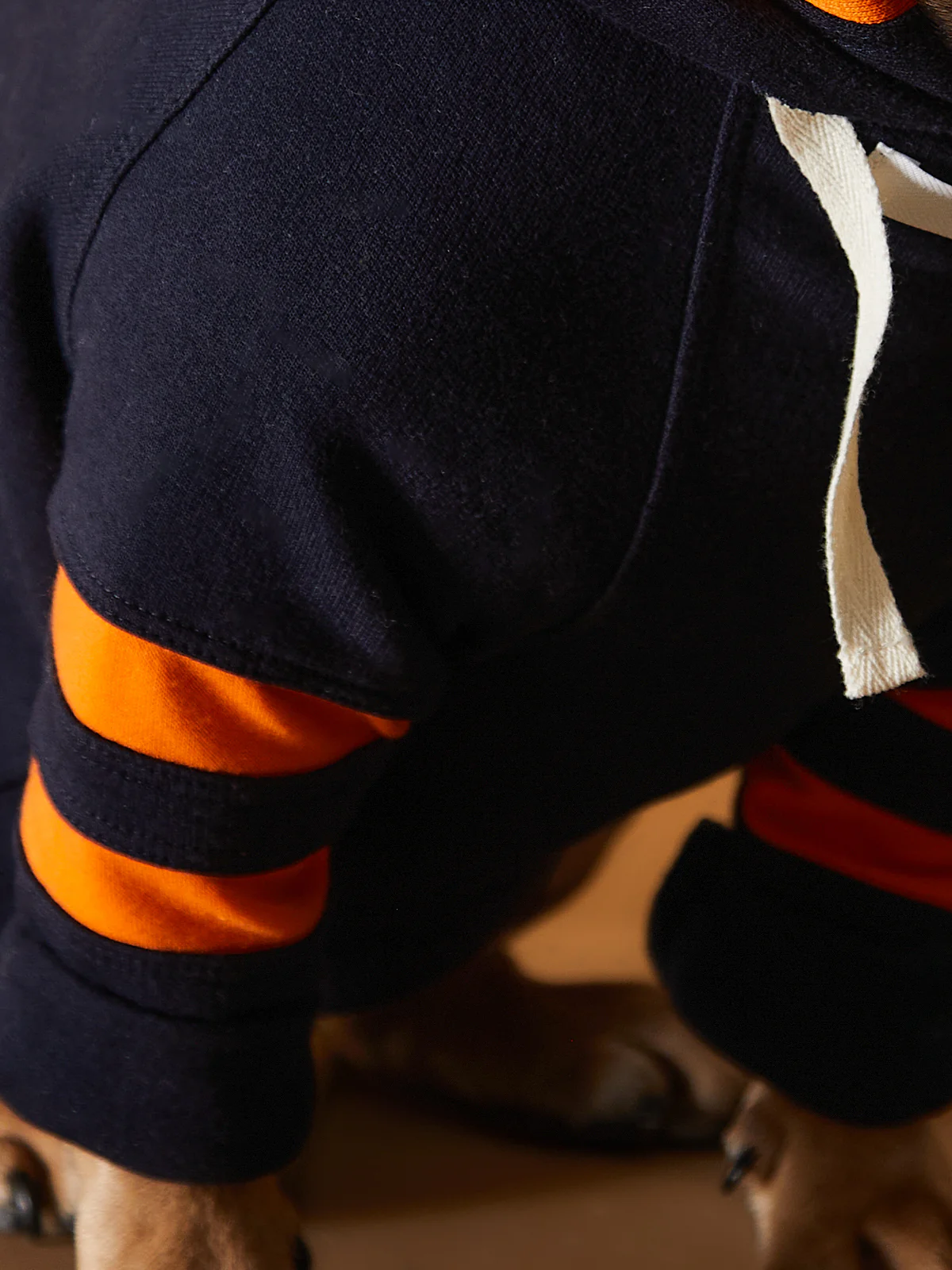 Dachshund Dark Blue Hoodie BRIE