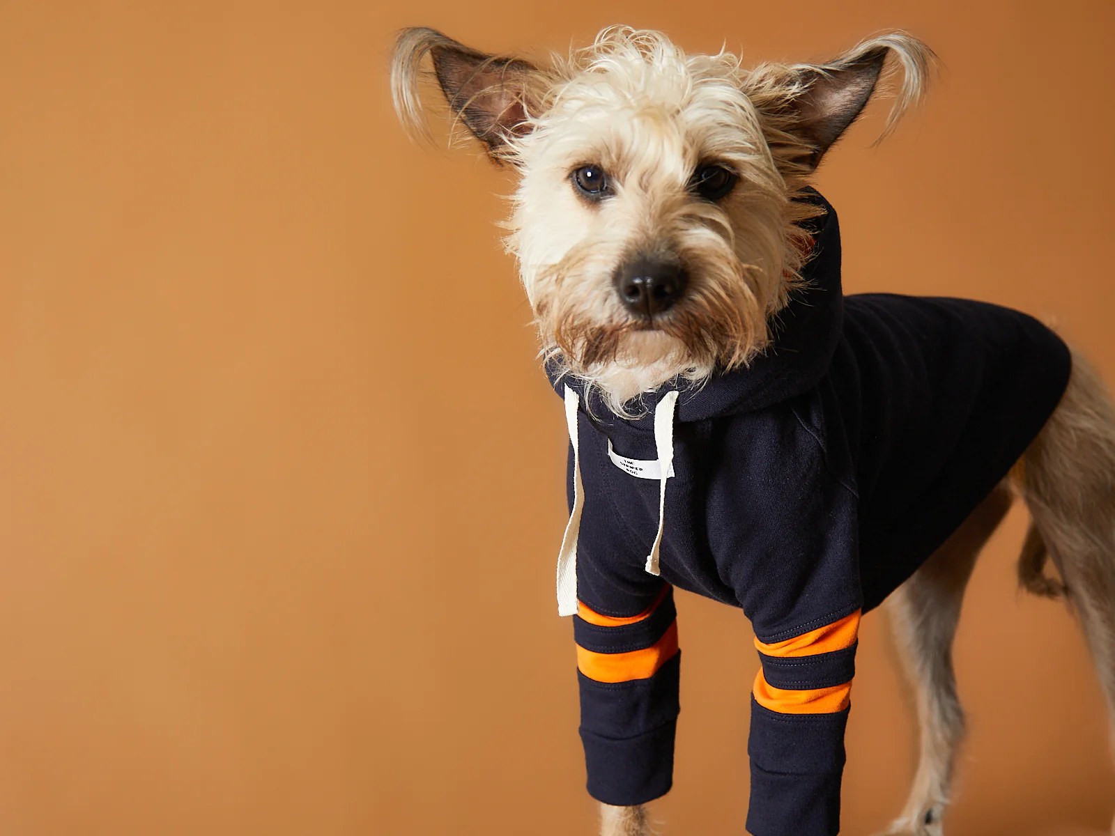 Dark Blue Hoodie BRIE